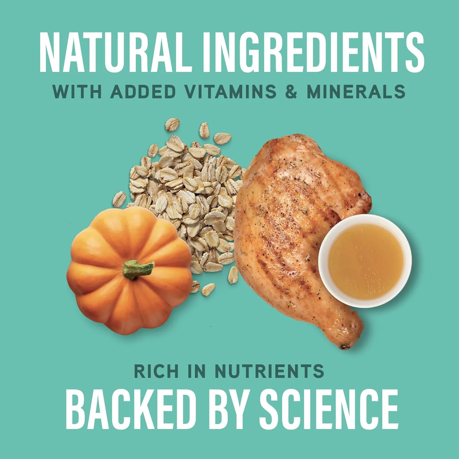 Natural Balance Specialized Nutrition Dry Dog Food with Chicken and Oatmeal for Dogs, Small Breed Digestive & Joint Health, Natural Ingredients with Added Vitamins & Minerals - 3.5 lbs