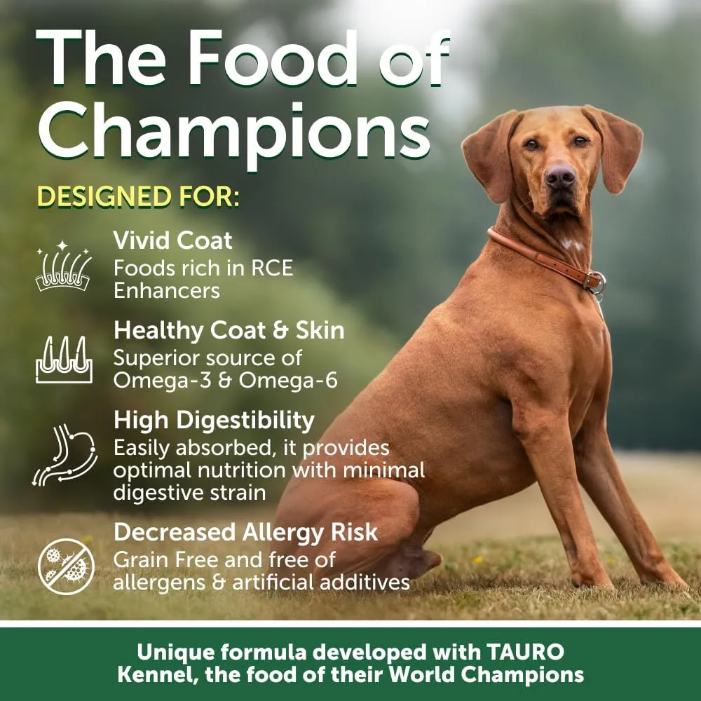 Nature's Protection Superior Care Grain-Free Dry Dog Food - High Protein, Coat Shine Dog Food for Small Breeds Red Coated Adult Dogs, Fresh Pet Meal, Lamb, 22 lb