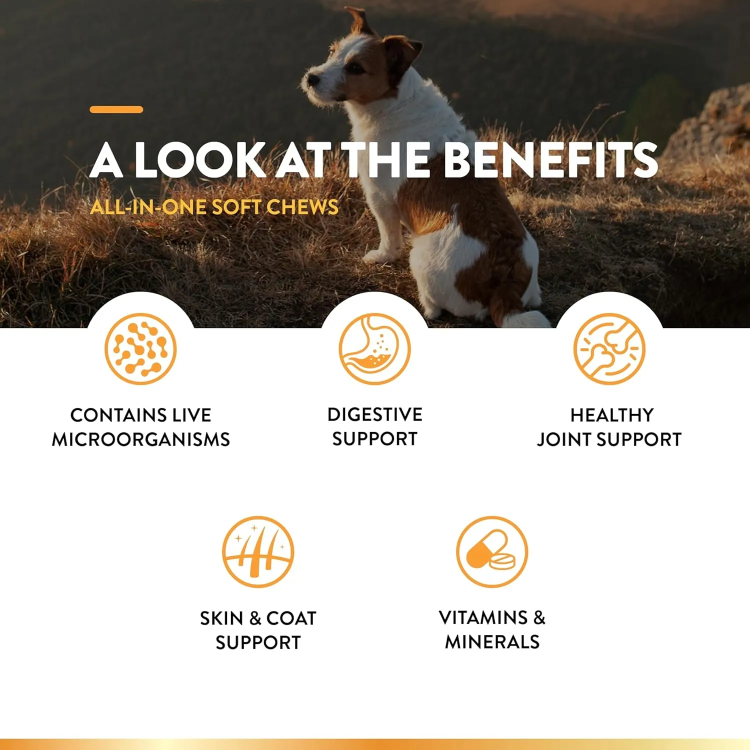 NaturVet All-in-One Dog Supplement - for Joint Support, Digestion, Skin, Coat Care  Dog Multivitamins with Minerals, Omega-3, 6, 9  Wheat-Free Vitamins for Dogs  240 Soft Chews