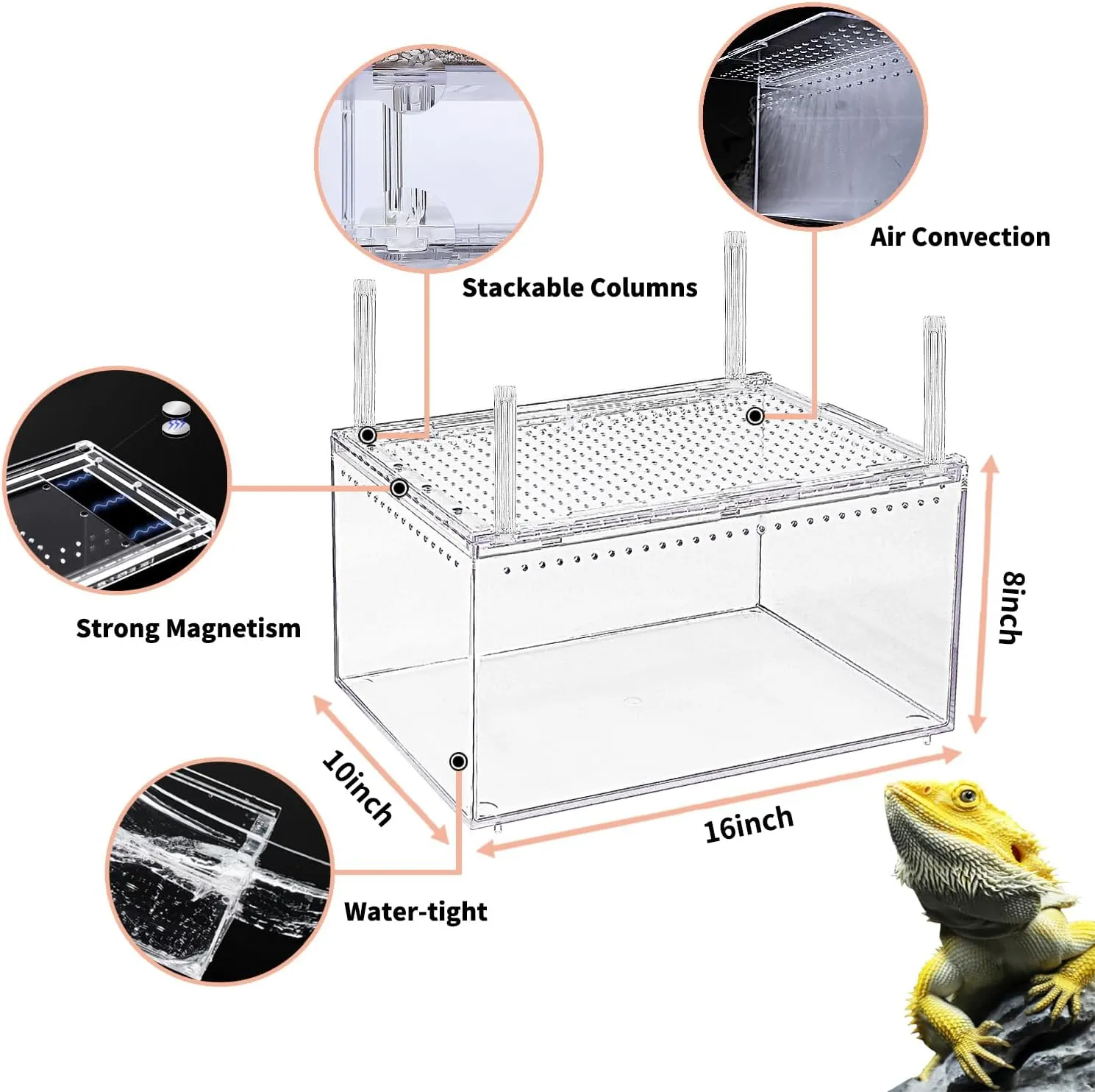 No Assembly Reptile Tank Enclosure with Magnetic Button.16" * 10" * 8" Thicken Snake Enclosure Cage,Batch Stackable Reptile Breeding Tank for Insect,Fish,Tarantula,Hermit Crab,Jumping Spider,Iguana