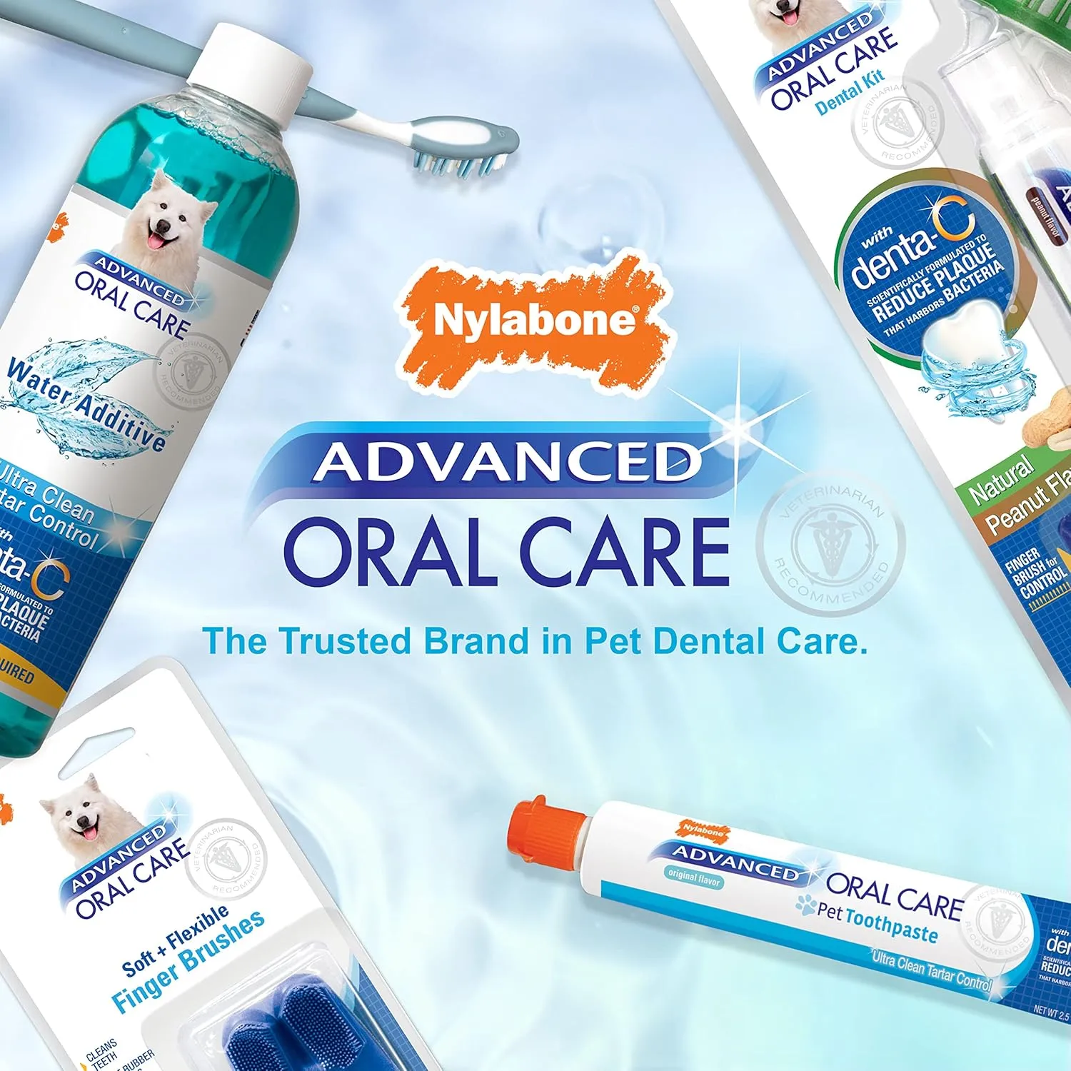Nylabone Advanced Oral Care Pet Dental Water Additive, Liquid Tartar Remover & Breath Freshener for Dogs, Dog Teeth-Cleaning, Original Flavor, 16 oz.