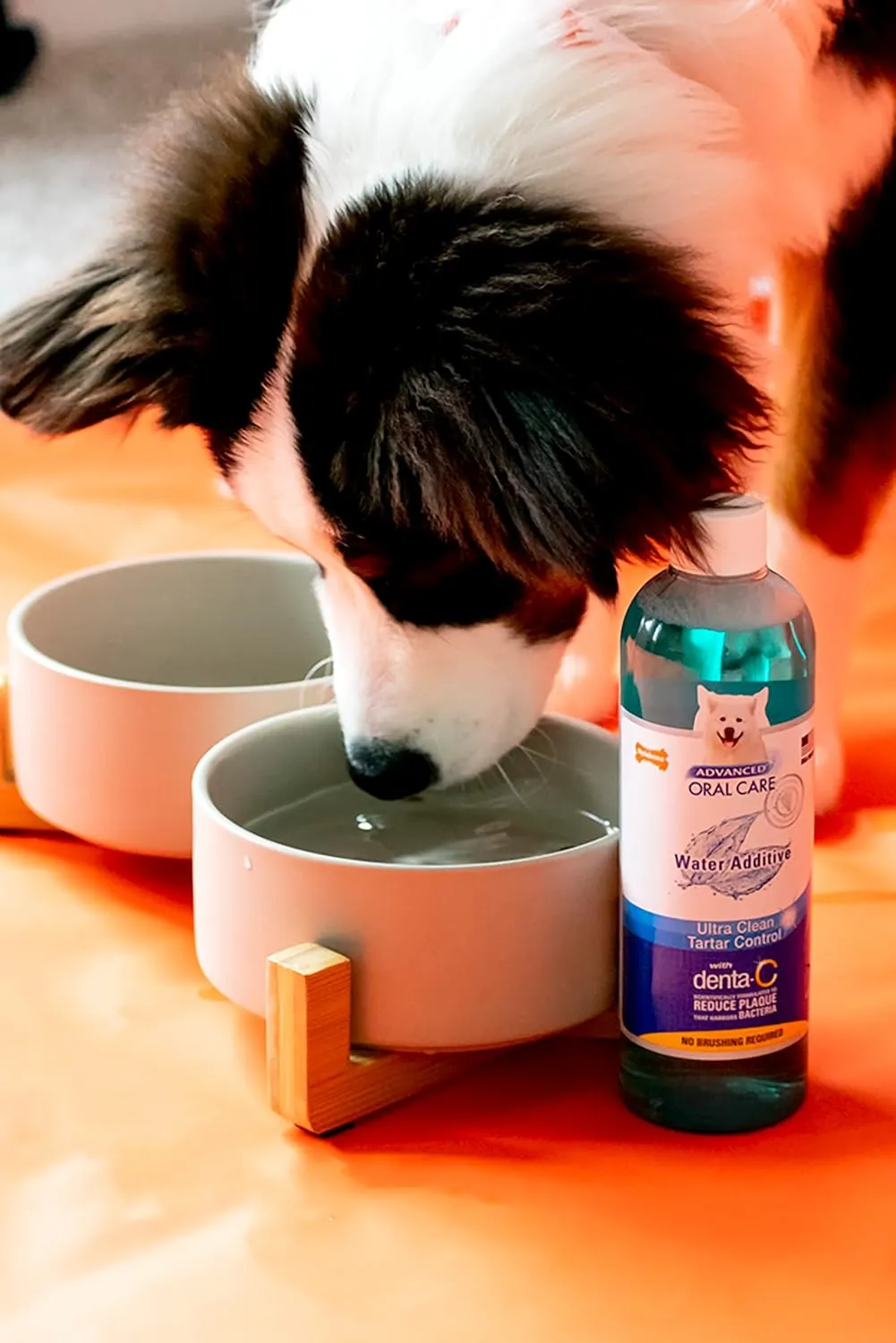 Nylabone Advanced Oral Care Pet Dental Water Additive, Liquid Tartar Remover & Breath Freshener for Dogs, Dog Teeth-Cleaning, Original Flavor, 16 oz.
