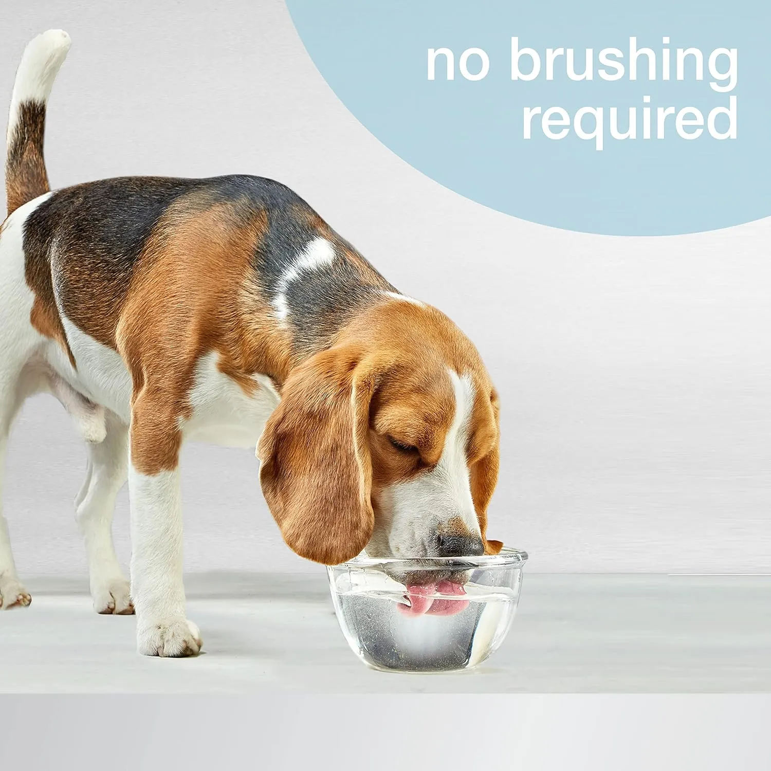 Nylabone Advanced Oral Care Pet Dental Water Additive, Liquid Tartar Remover & Breath Freshener for Dogs, Dog Teeth-Cleaning, Original Flavor, 16 oz.