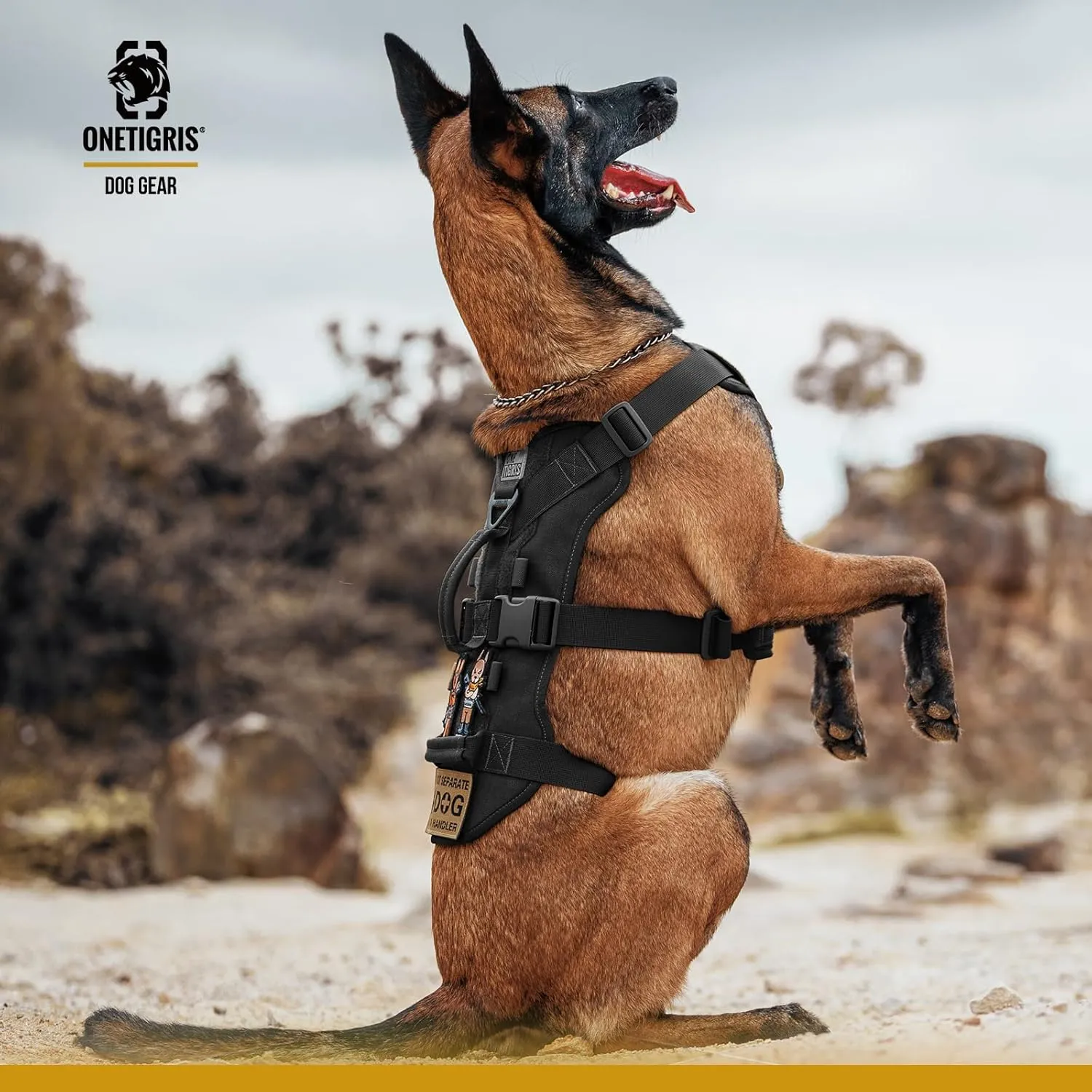 OneTigris Escape Proof Dog Harness, No Pull Dog Harness with Handles, Tactical Multi-Use Support Dogs Harnes for Large Dogs Everyday Wear Walking Hiking Training (Black, Medium)