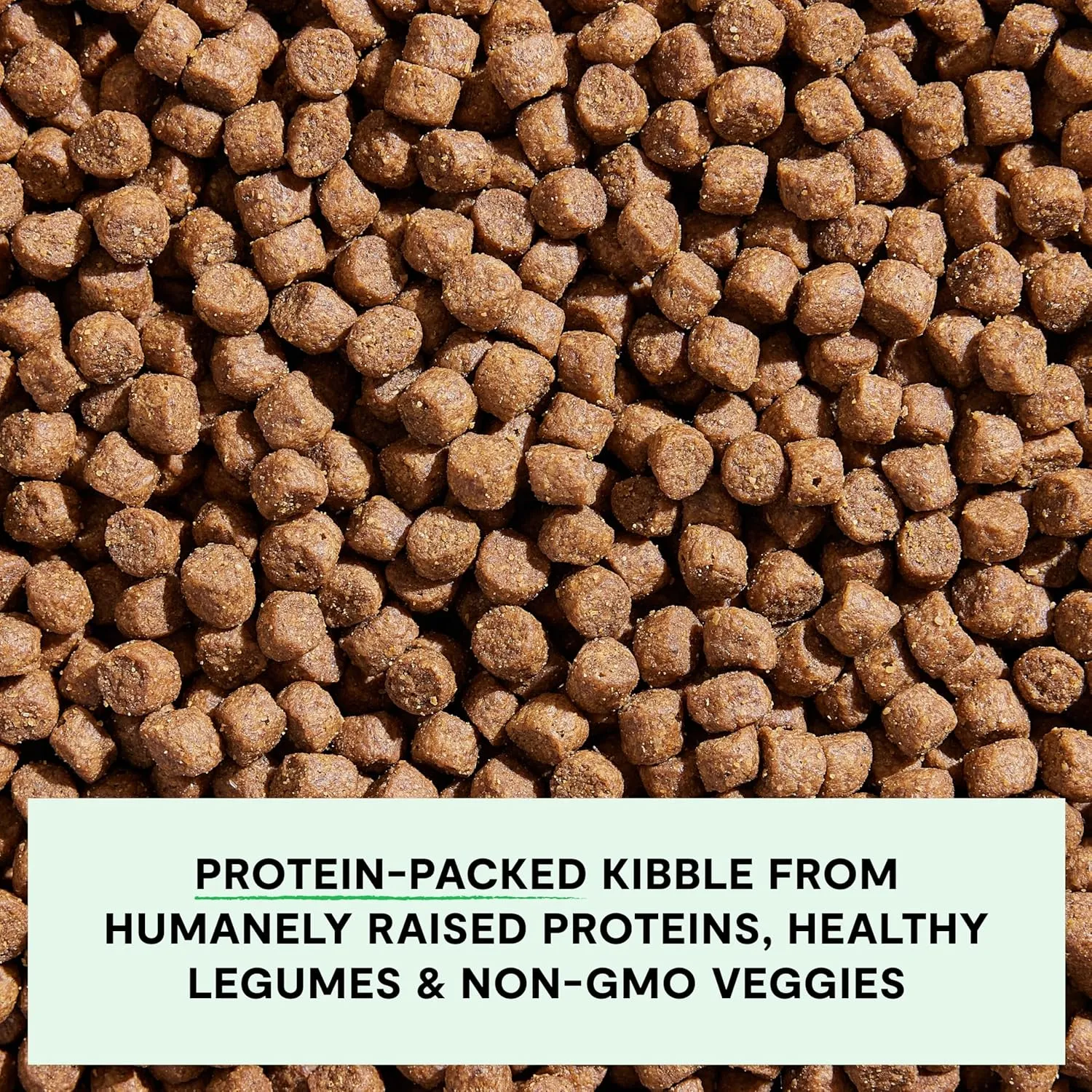 Open Farm, Grain-Free Dry Dog Food, Complete & Balanced Kibble, Sustainably & Ethically Sourced Ingredients, Non-GMO Veggies & Superfoods to Support Overall Health, Grass-Fed Beef Recipe, 4lb Bag
