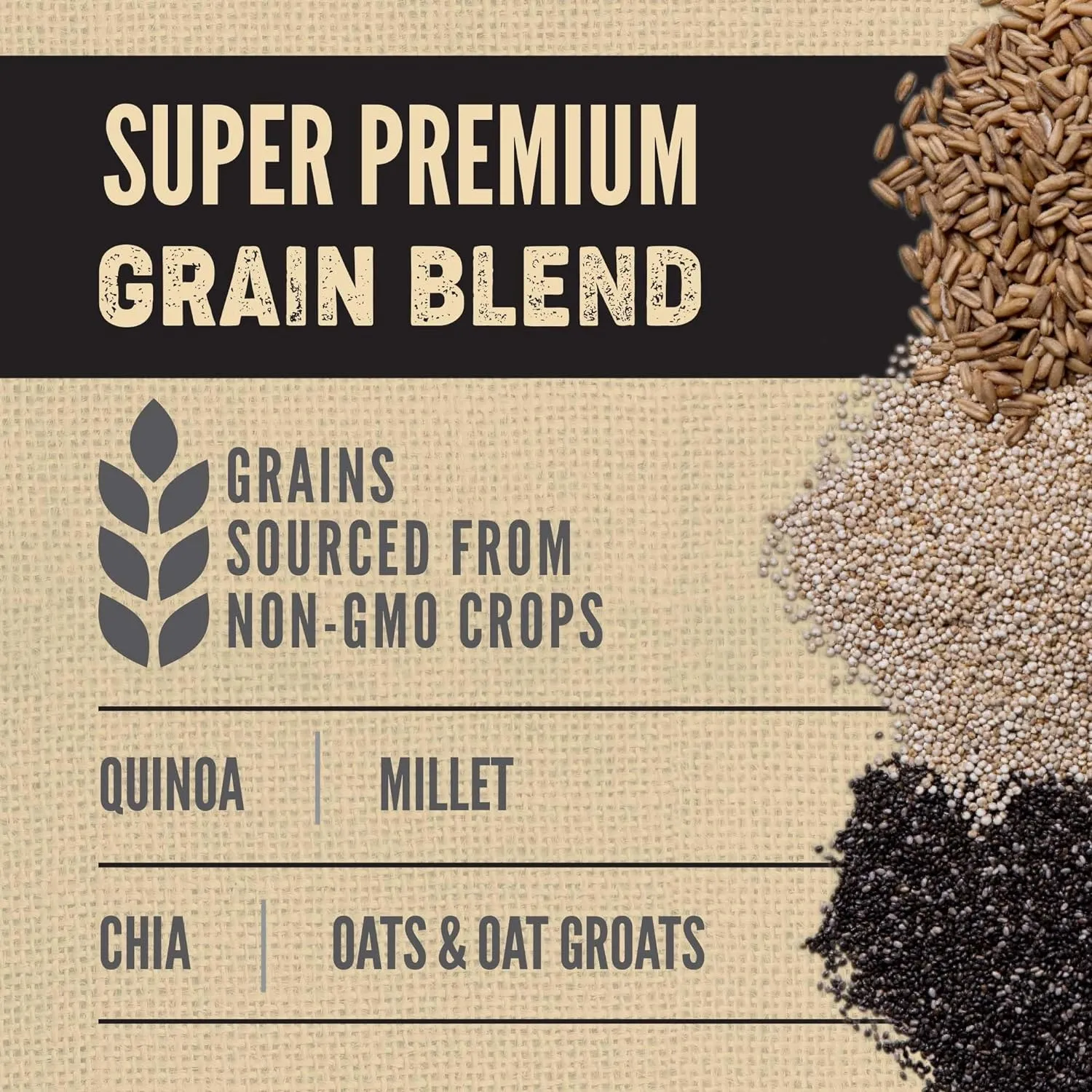 ORIJEN Amazing Grains Six Fish Recipe Dry Dog Food, High Protein Dog Food, Fresh or Raw Ingredients, 22.5lb