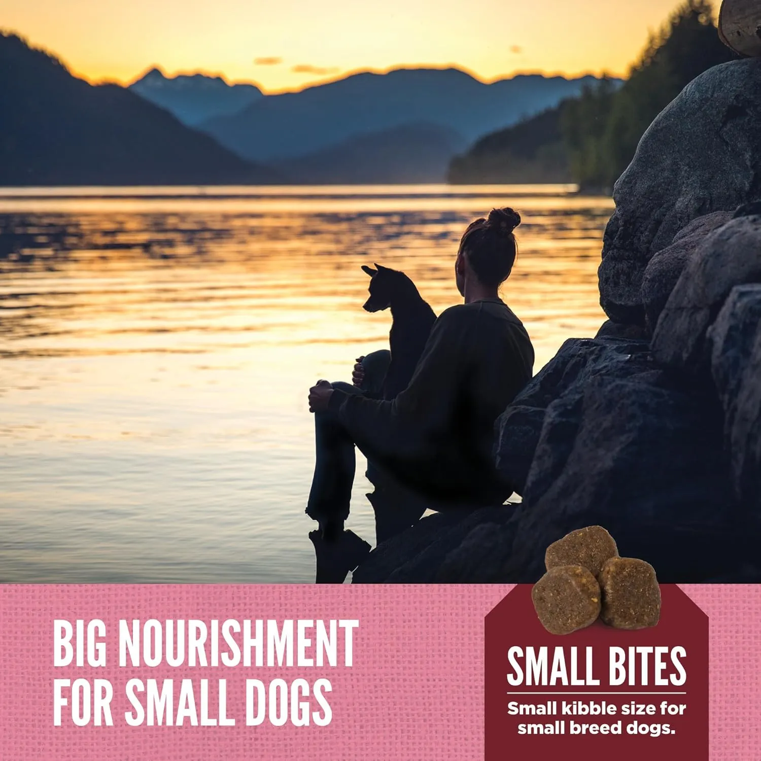 ORIJEN Amazing Grains Small Breed Dry Dog Food Recipe, 4lb