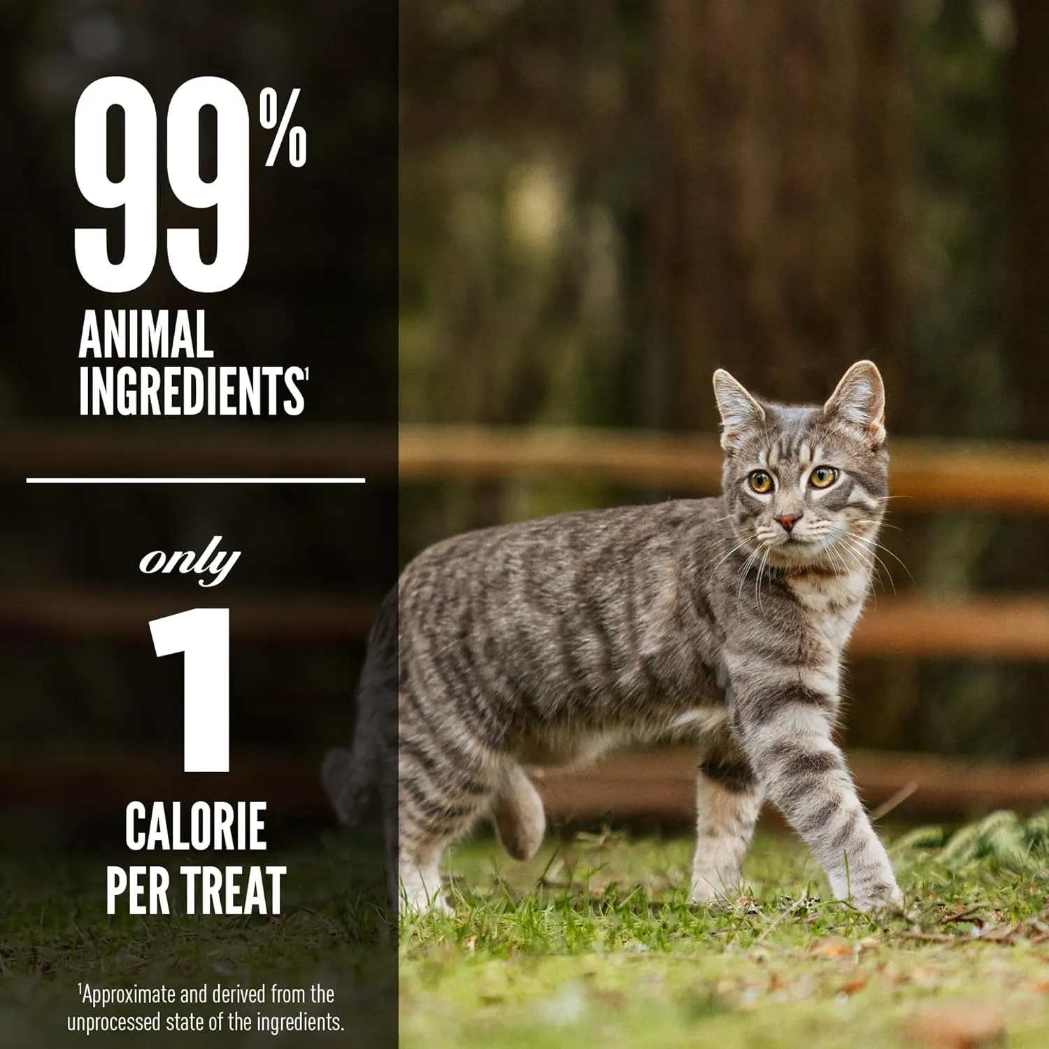 ORIJEN Six Fish Freeze Dried Cat Treats, Grain Free Treats for Cats, Raw Animal Ingredients, 1.25oz