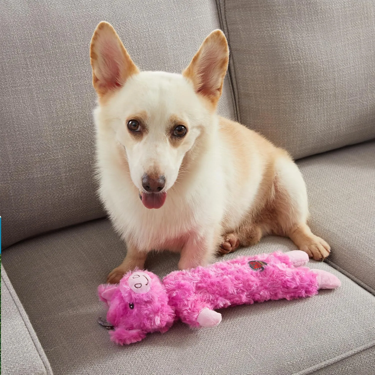 Outward Hound by Charming Pet Lil' Dudes Pig Plush Squeaky Dog Toy