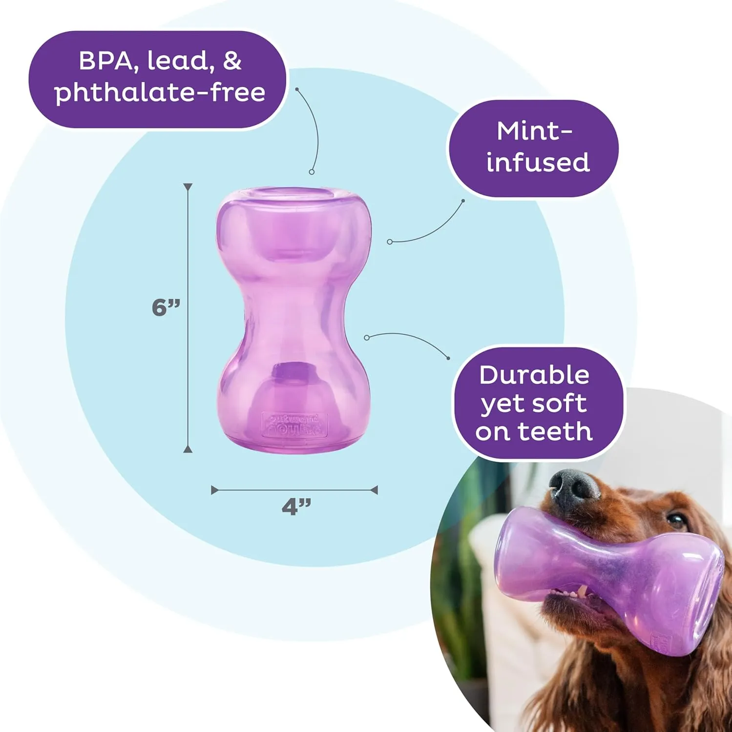 Outward Hound by Planet Dog Double Snoop Interactive Treat Dispensing Dog Toy, Purple
