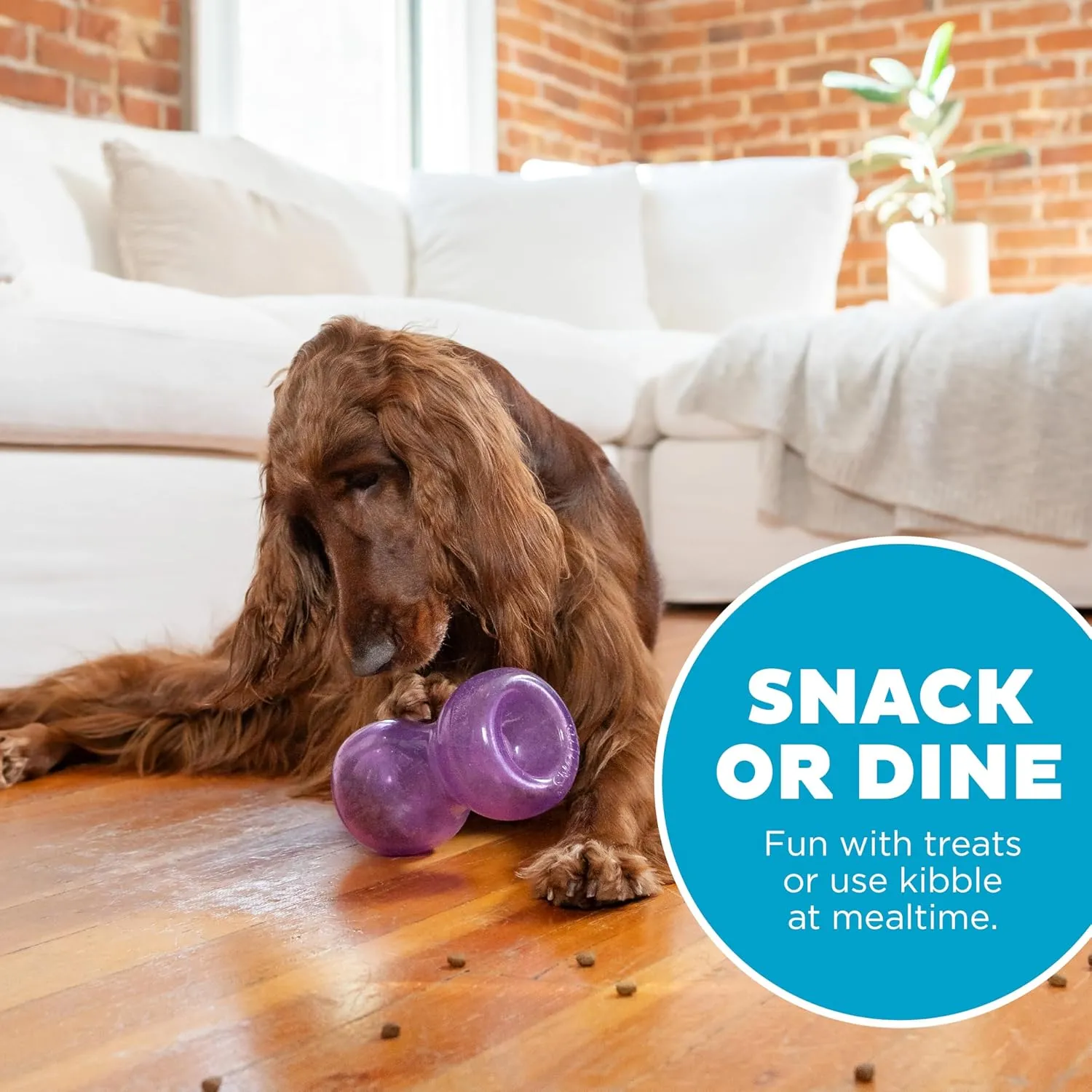 Outward Hound by Planet Dog Double Snoop Interactive Treat Dispensing Dog Toy, Purple