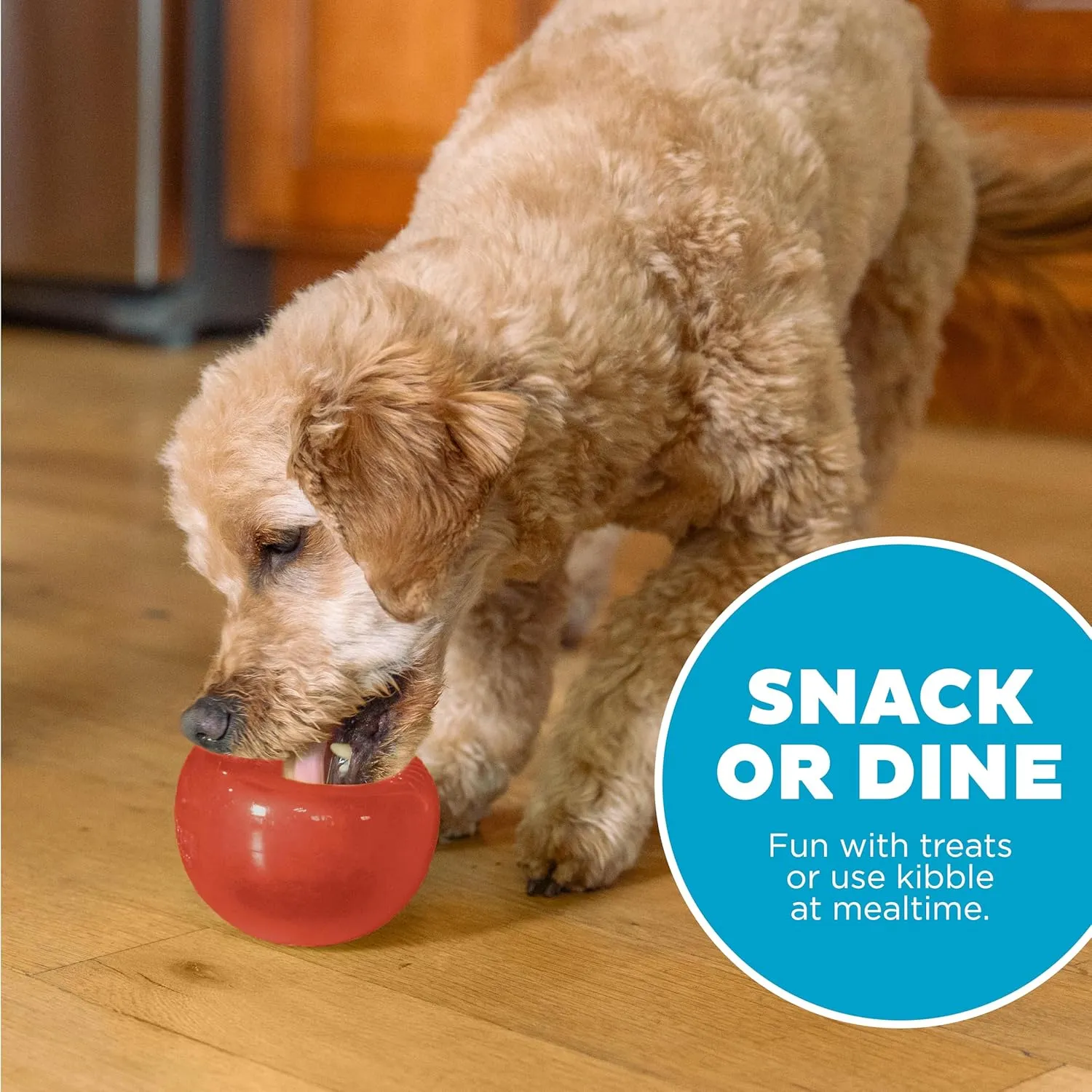 Outward Hound by Planet Dog Lil' Snoop Durable Interactive Treat Dispensing Dog Toy, Small, Red