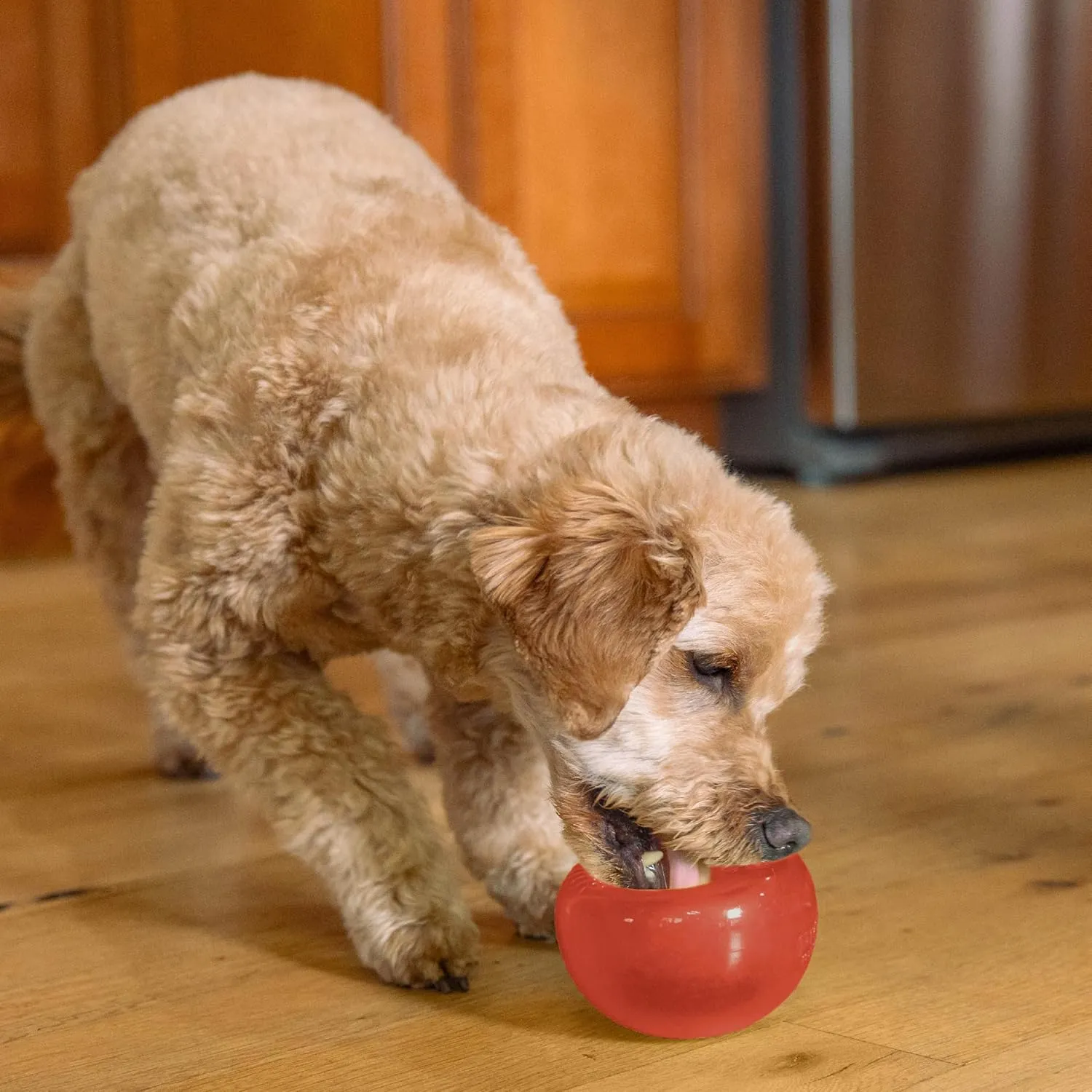 Outward Hound by Planet Dog Lil' Snoop Durable Interactive Treat Dispensing Dog Toy, Small, Red