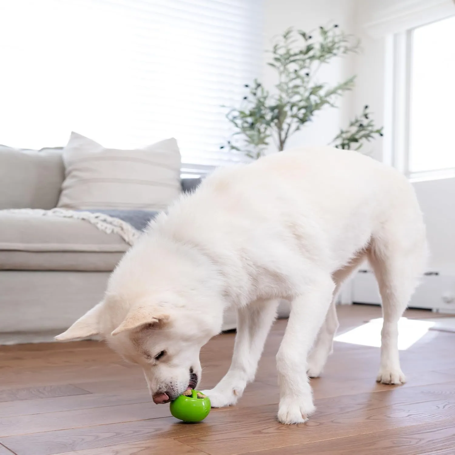 Outward Hound by Planet Dog Nooks Peace Interactive Treat Dispensing Dog Toy, Small, Green