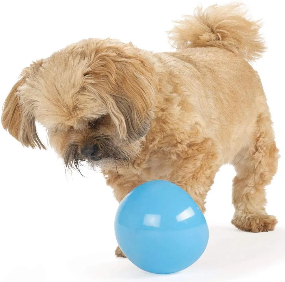 Outward Hound by Planet Dog Snoop Durable Interactive Treat Dispensing Dog Toy, Large, Blue