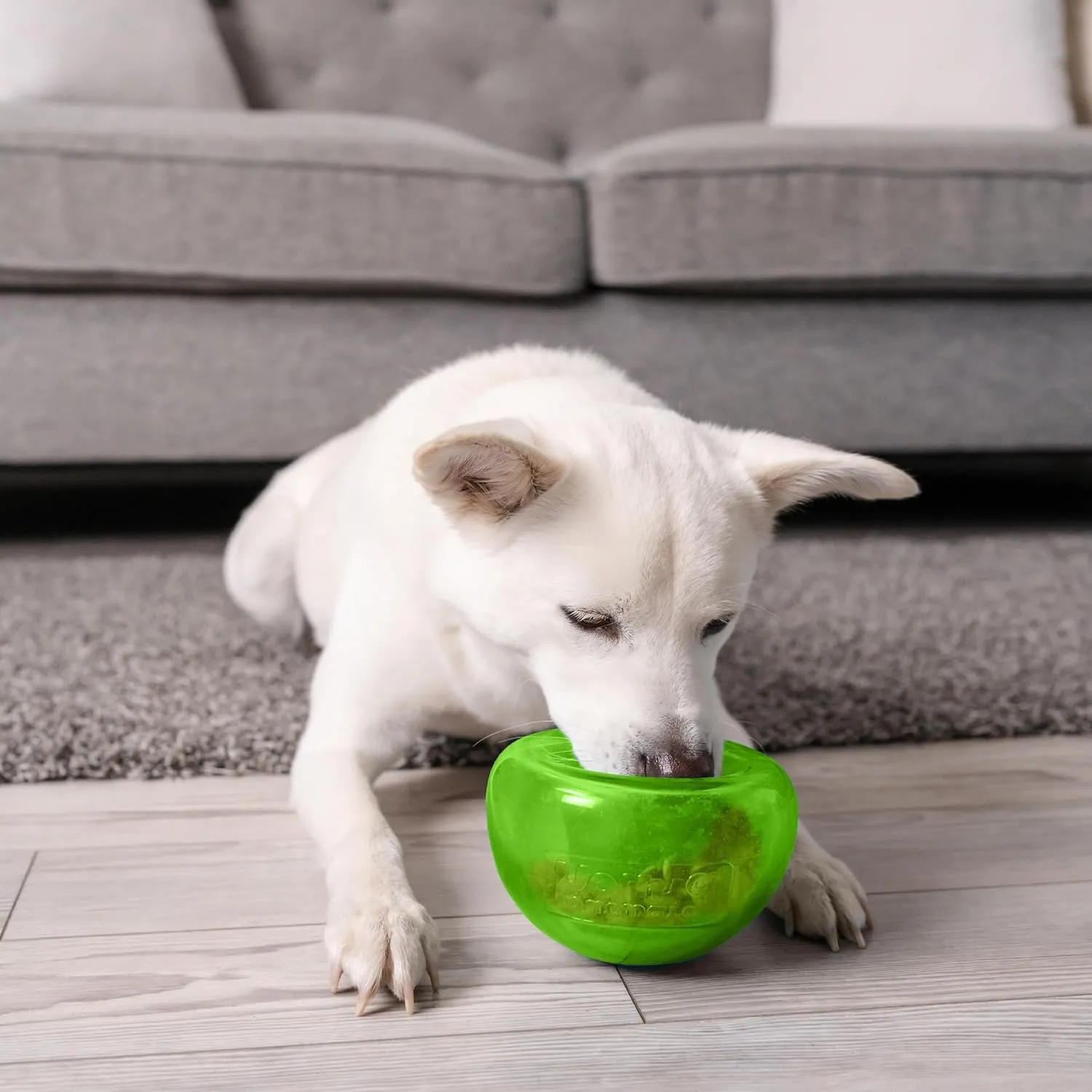 Outward Hound by Planet Dog Snoop Durable Interactive Treat Dispensing Dog Toy, Large, Green