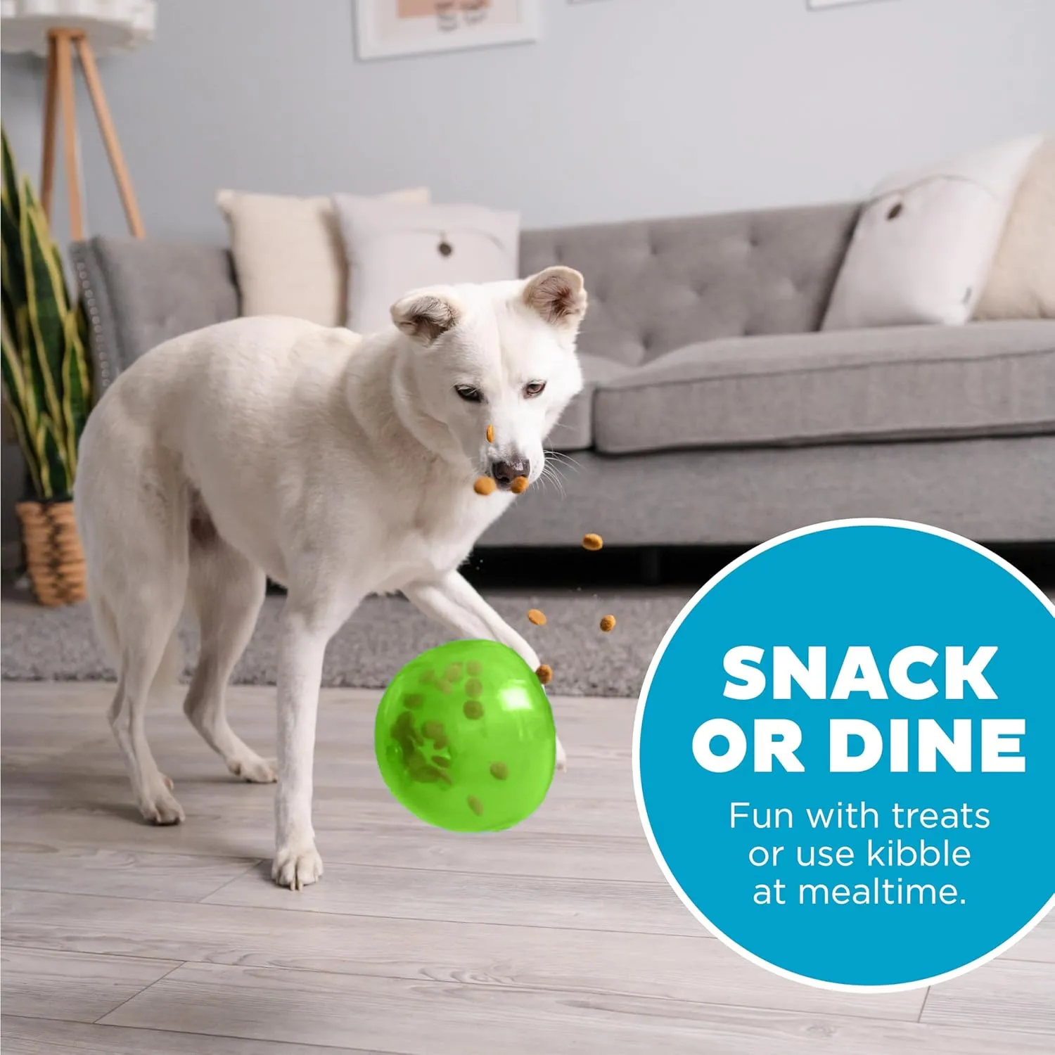Outward Hound by Planet Dog Snoop Durable Interactive Treat Dispensing Dog Toy, Large, Green