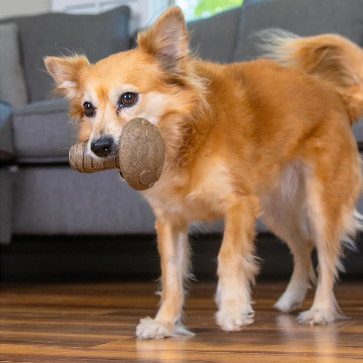 Outward Hound Dogwood Mushroom Durable Dog Chew Toy, Peanut Butter Scent, Medium