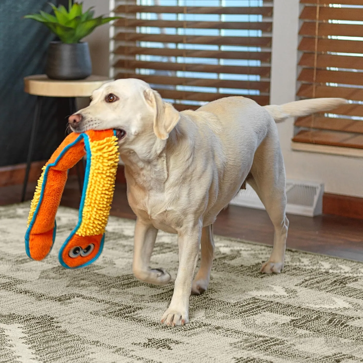 Outward Hound Durablez Stuffing-Free Squeaky Interactive Dog Toy, Tough Plush, Nubby Snake, Blue, XL