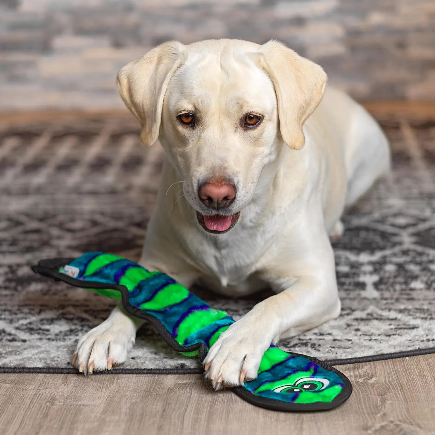 Outward Hound Durablez Stuffing-Free Squeaky Interactive Dog Toy, Tough Plush, Snake, Blue, Large
