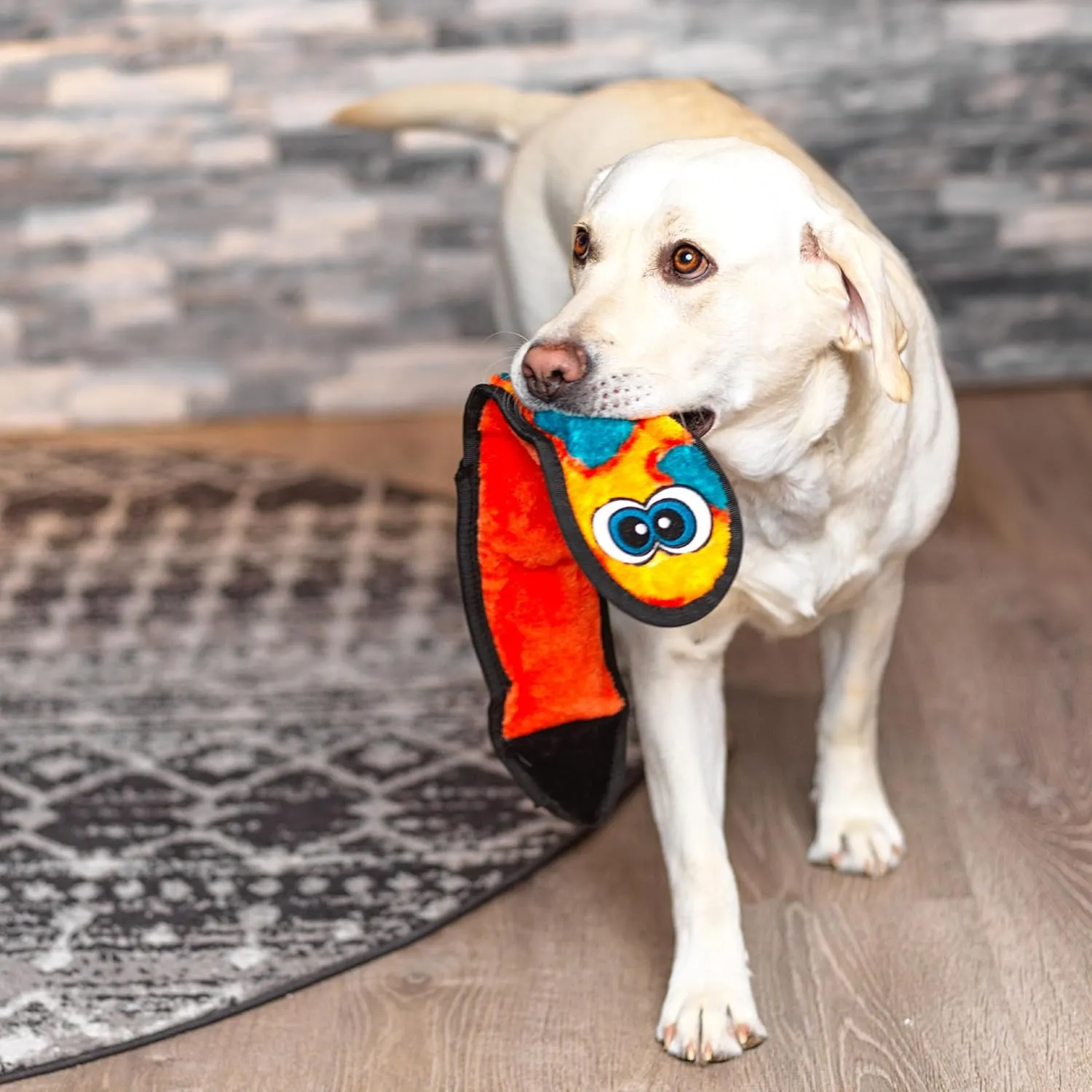 Outward Hound Durablez Stuffing-Free Squeaky Interactive Dog Toy, Tough Plush, Snake, Orange, Large