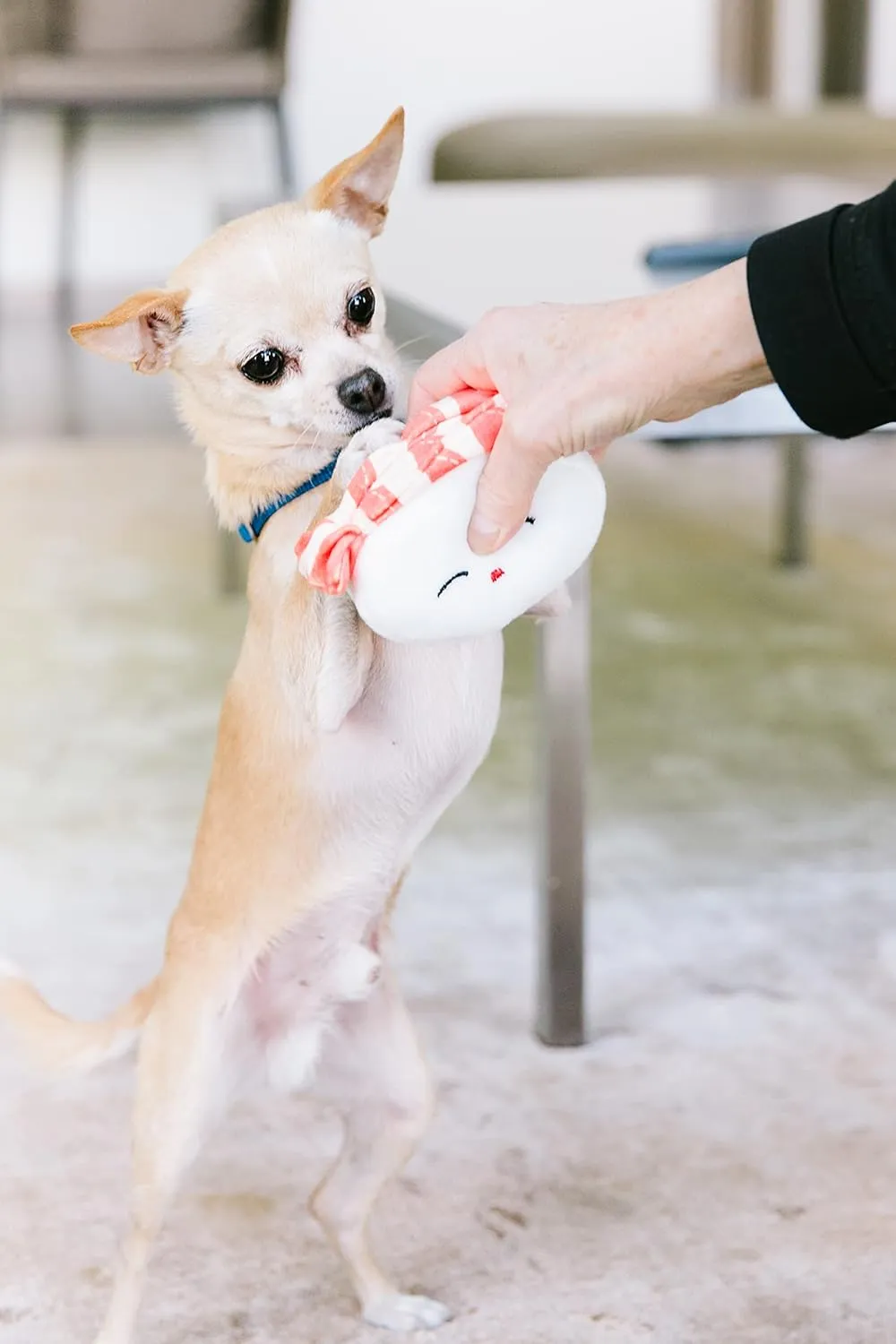 Pearhead Sushi Plush Toys, Durable Squeaky Dog Toy Set, Gifts For Pet Owners, Soft Chew Toys, Pet Owner Must Have Dog Accessory, Set of 3