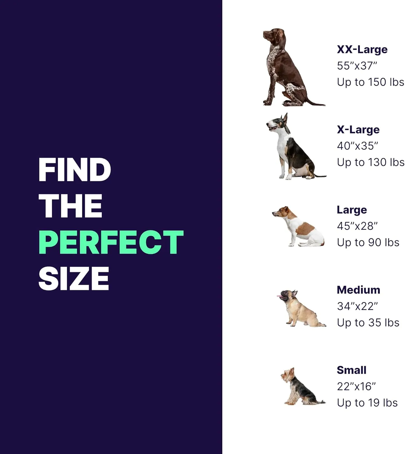 Pet Support Systems Orthopedic Dog Bed - Gel Memory Foam Pet Bed, Luxury Washable Dog Bed for Sleeping and Support (Removable Cover, Small Tan Dog Bed)