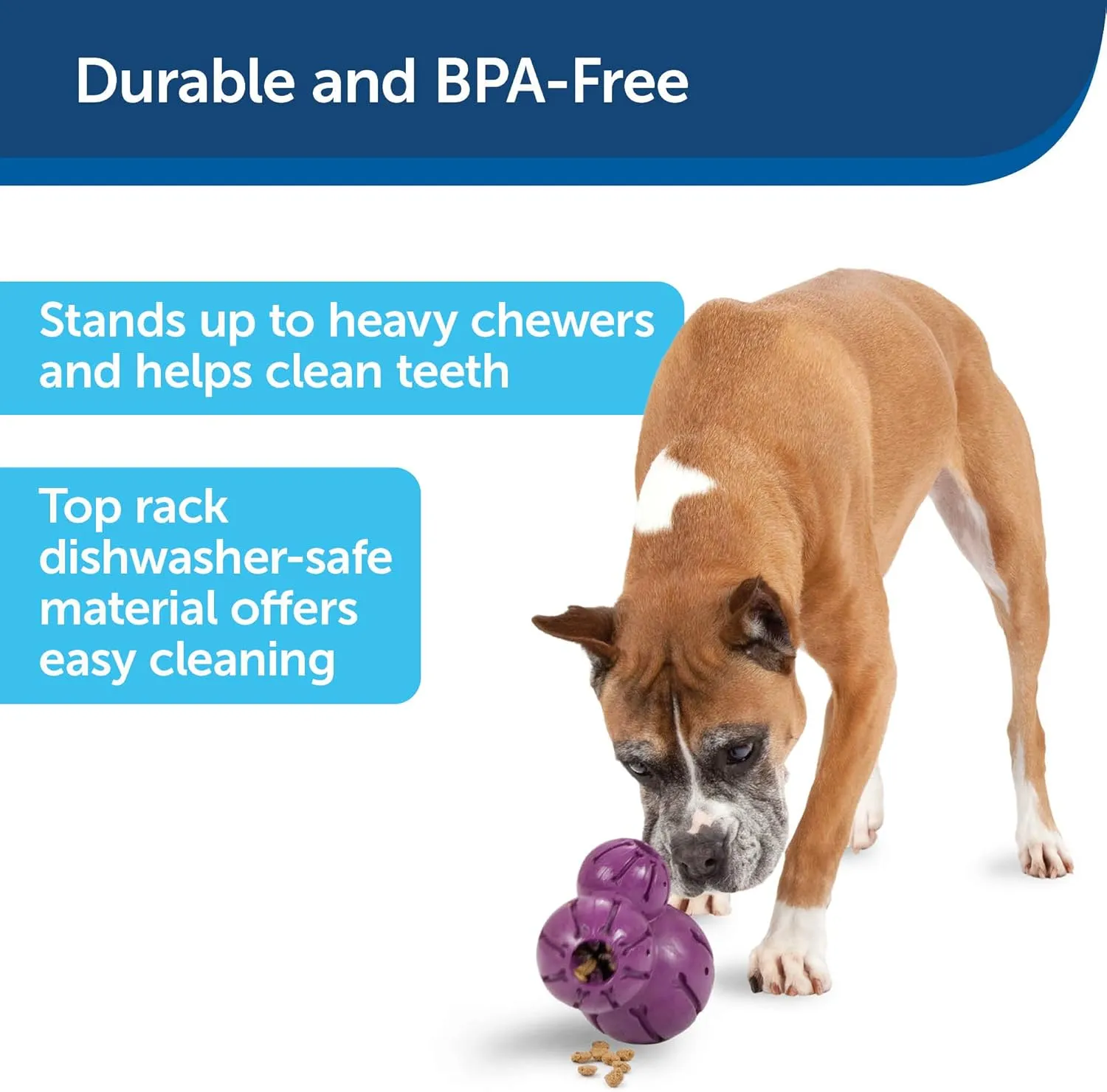 PetSafe Busy Buddy Barnacle - Dog Chew Toy - Treat Dispensing Dog Toys