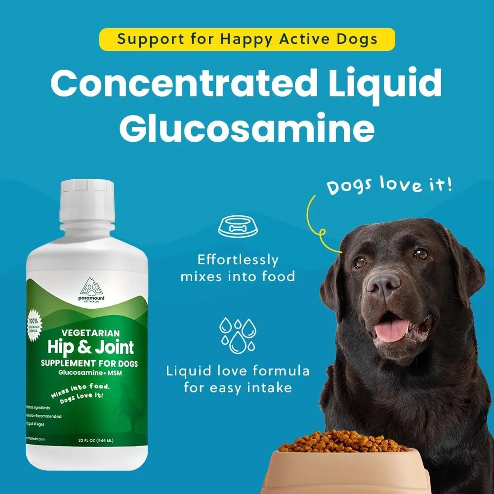 Plant-Based Liquid Glucosamine for Dogs, 1600 mg Glucosamine Liquid for Dogs Joint Supplement, Ideal for Mobility & Comfort, Infused with Omega-3,6,9, MSM & Chondroitin, 32 oz