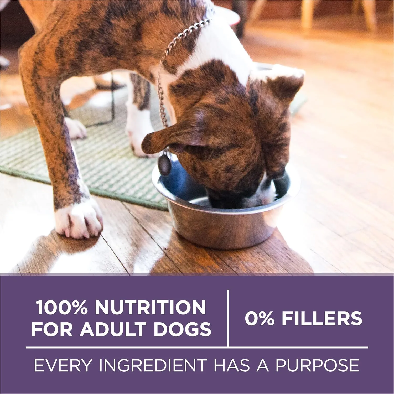 Purina ONE High Protein Dry Senior Dog Food Plus Vibrant Maturity Adult 7 Plus Formula - 31.1 lb. Bag