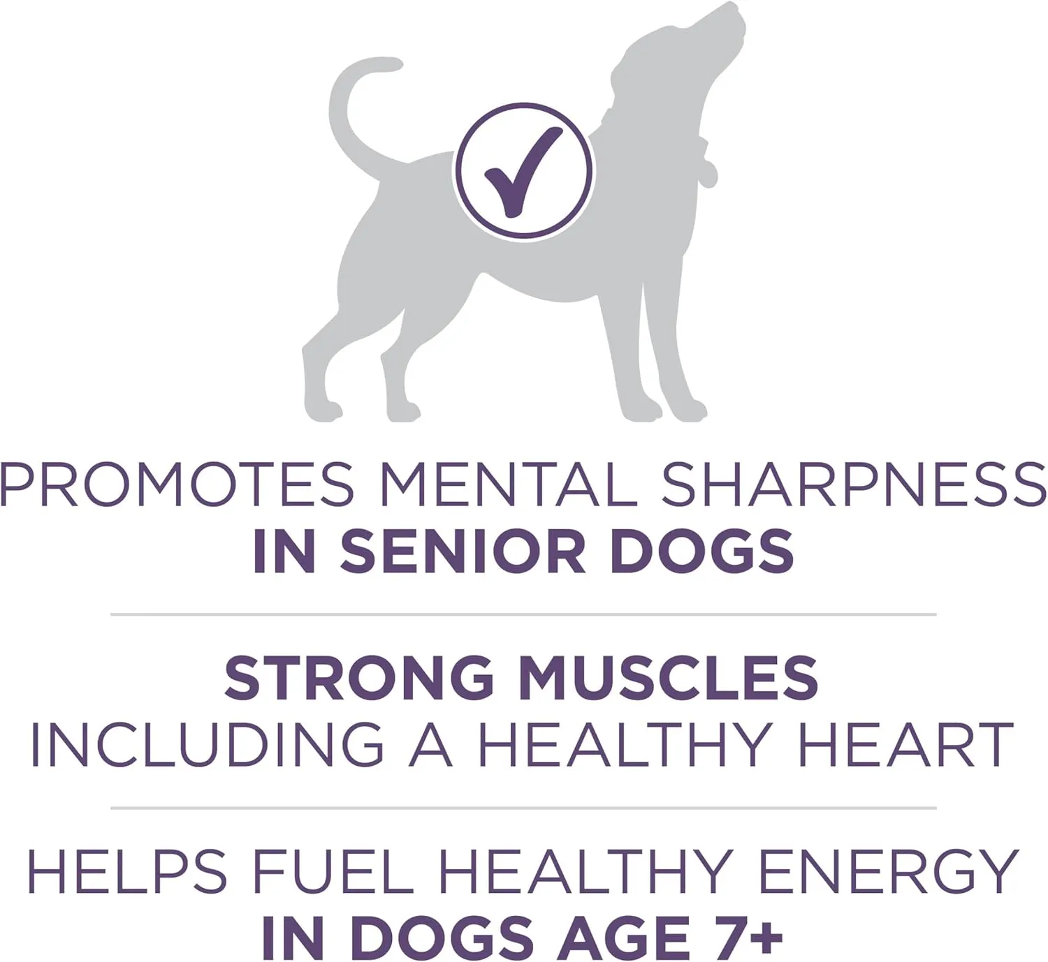 Purina ONE High Protein Dry Senior Dog Food Plus Vibrant Maturity Adult 7 Plus Formula - 8 lb. Bag