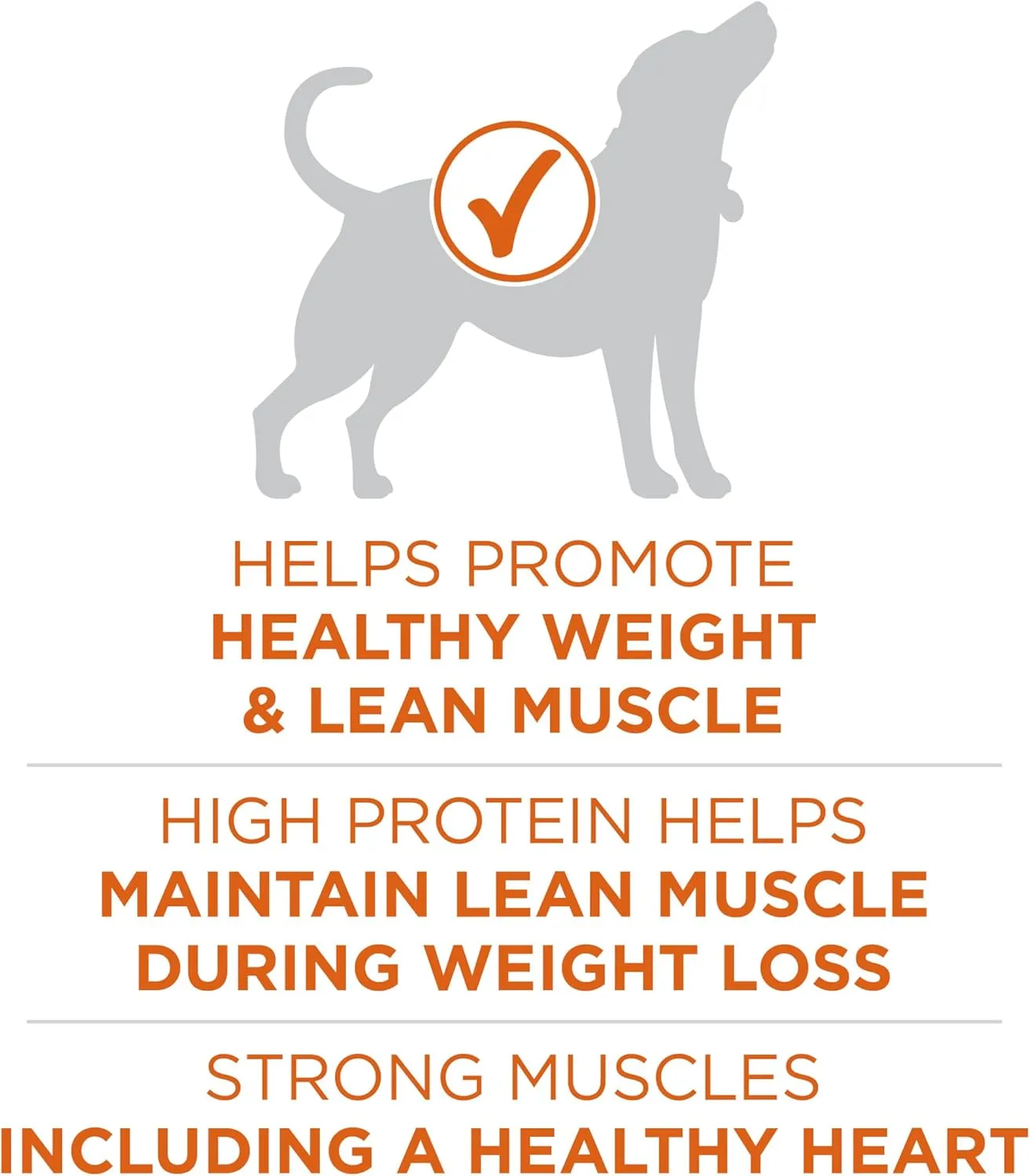 Purina ONE Plus Healthy Weight High-Protein Dog Food Dry Formula - 40 lb. Bag