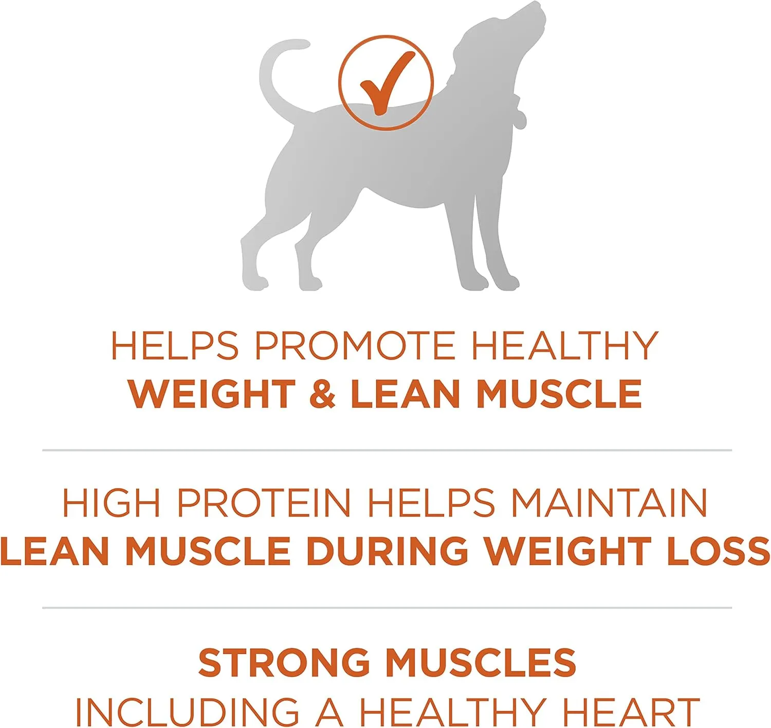Purina ONE Plus Healthy Weight High-Protein Dog Food Dry Formula - 8 lb. Bag
