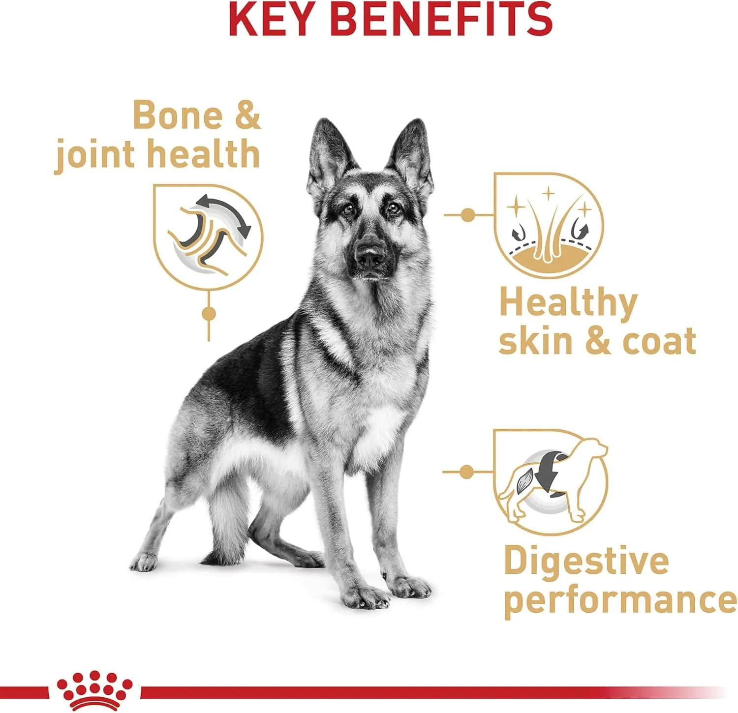 Royal Canin German Shepherd Adult Dry Dog Food, 30 lb bag