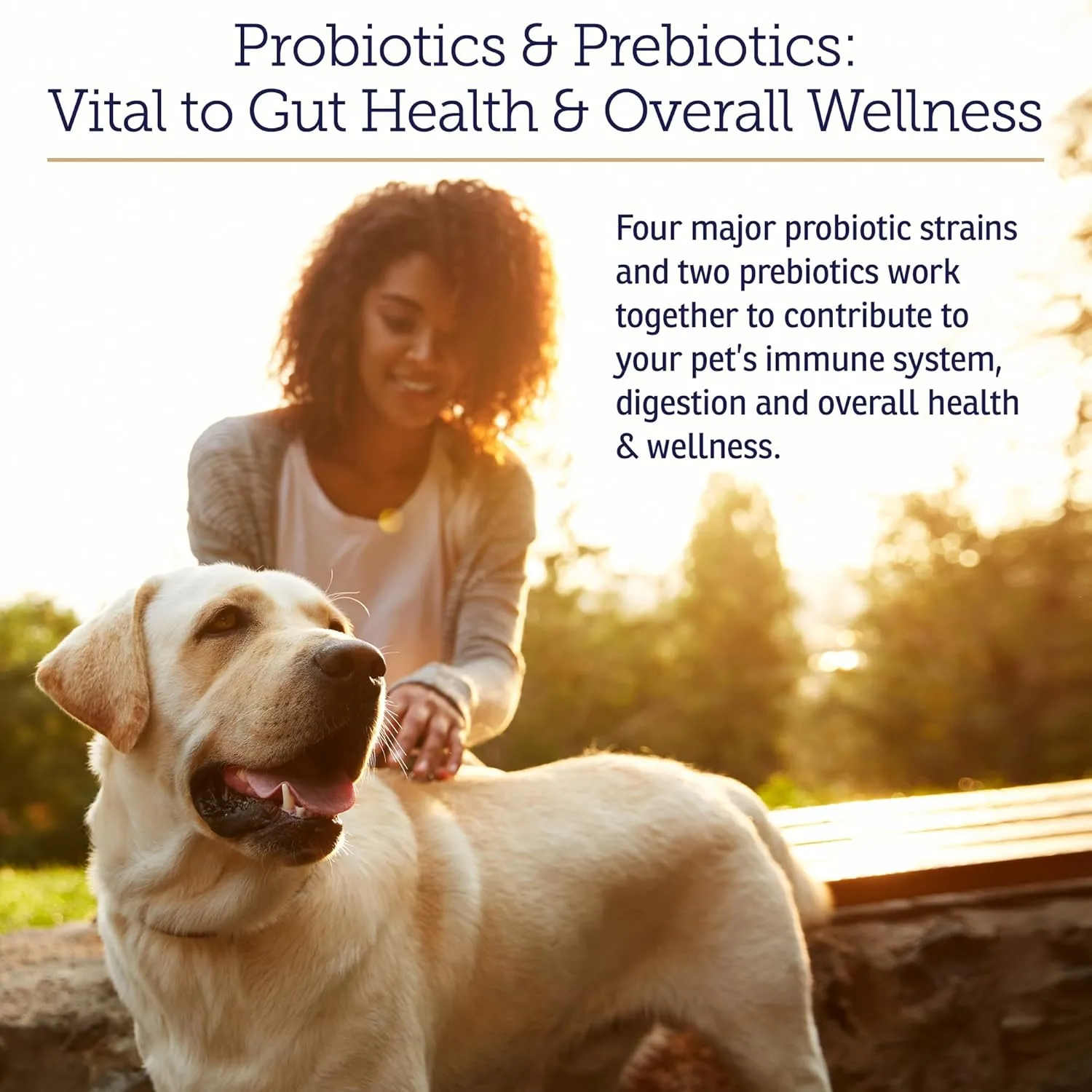 Rx Vitamins Rx Biotic - Probiotic Powder for Dogs and Cats - Cat Digestive Support & Probiotic for Dogs Gut Health - Cat Probiotics for Indoor Cats - Dog Probiotics for Digestive Health - 1.25oz