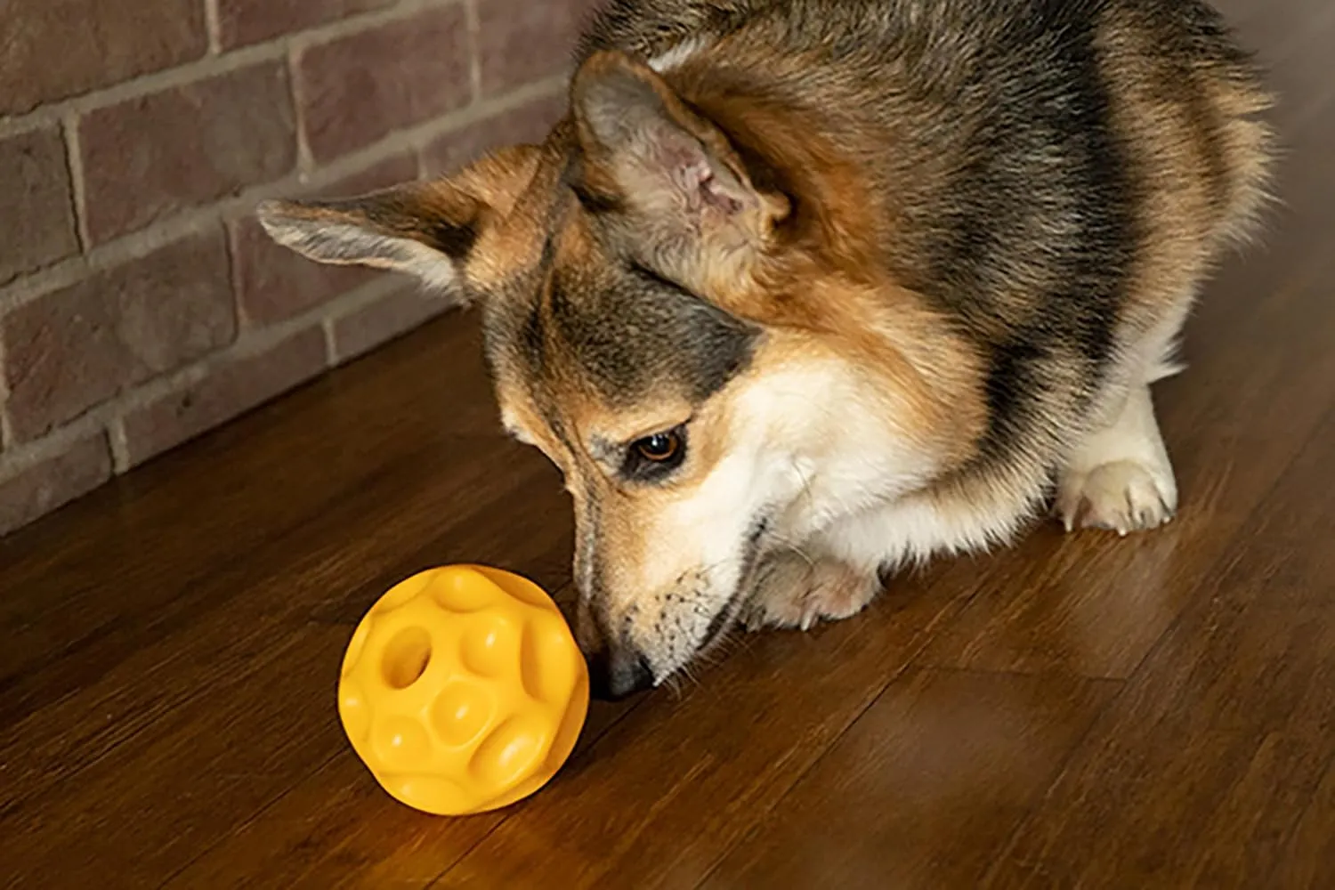 Starmark Treat Dispensing Tetraflex Dog Toy Large