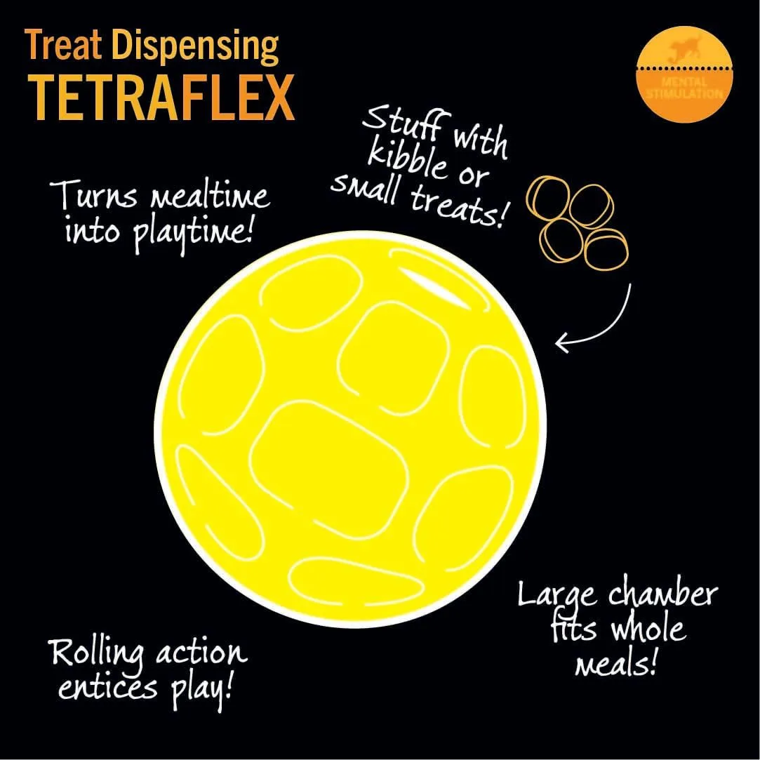 Starmark Treat Dispensing Tetraflex Dog Toy Large