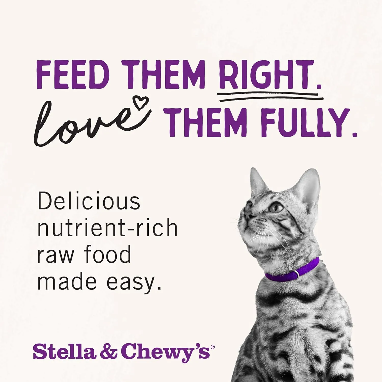 Stella & Chewy's Freeze-Dried Raw Cat Dinner Morsels - Premium Rabbit Recipe with 98% Responsibly-Sourced Meat & Organs - Natural Grain-Free Cat & Kitten Food - Made in USA - 8 oz