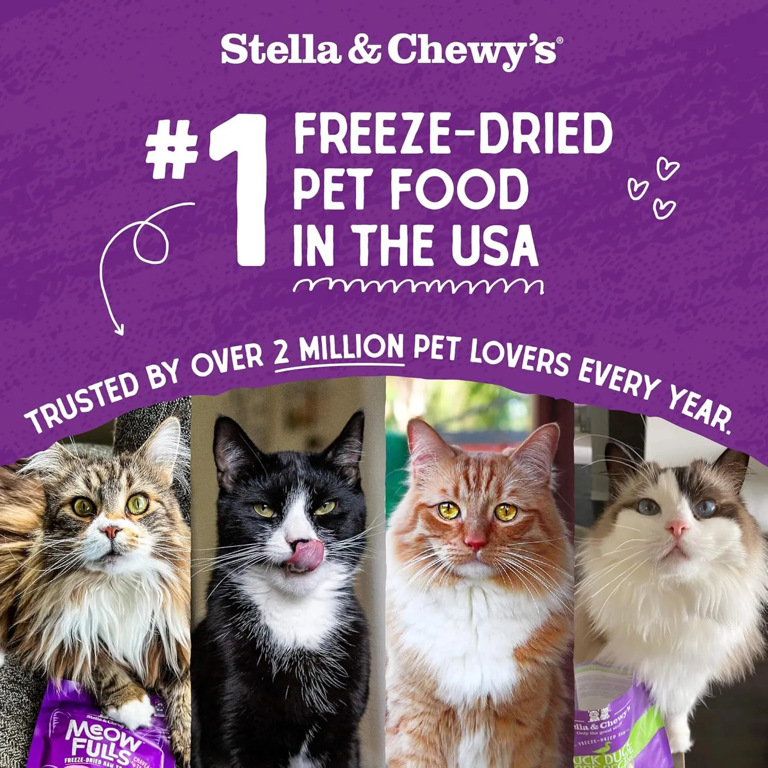Stella & Chewy's Freeze-Dried Raw Cat Dinner Morsels - Premium Rabbit Recipe with 98% Responsibly-Sourced Meat & Organs - Natural Grain-Free Cat & Kitten Food - Made in USA - 8 oz