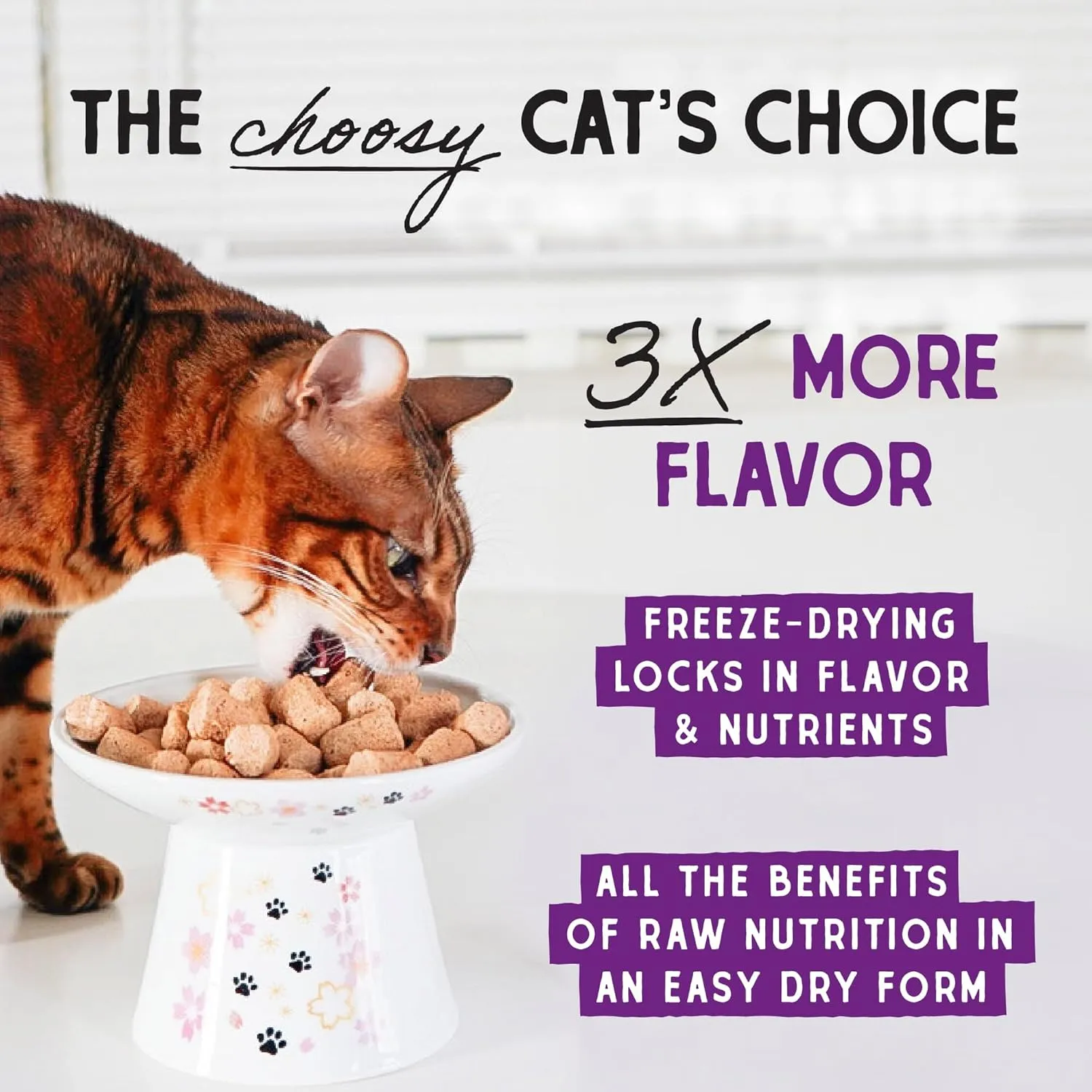 Stella & Chewy's Freeze-Dried Raw Cat Dinner Morsels - Premium Rabbit Recipe with 98% Responsibly-Sourced Meat & Organs - Natural Grain-Free Cat & Kitten Food - Made in USA - 8 oz