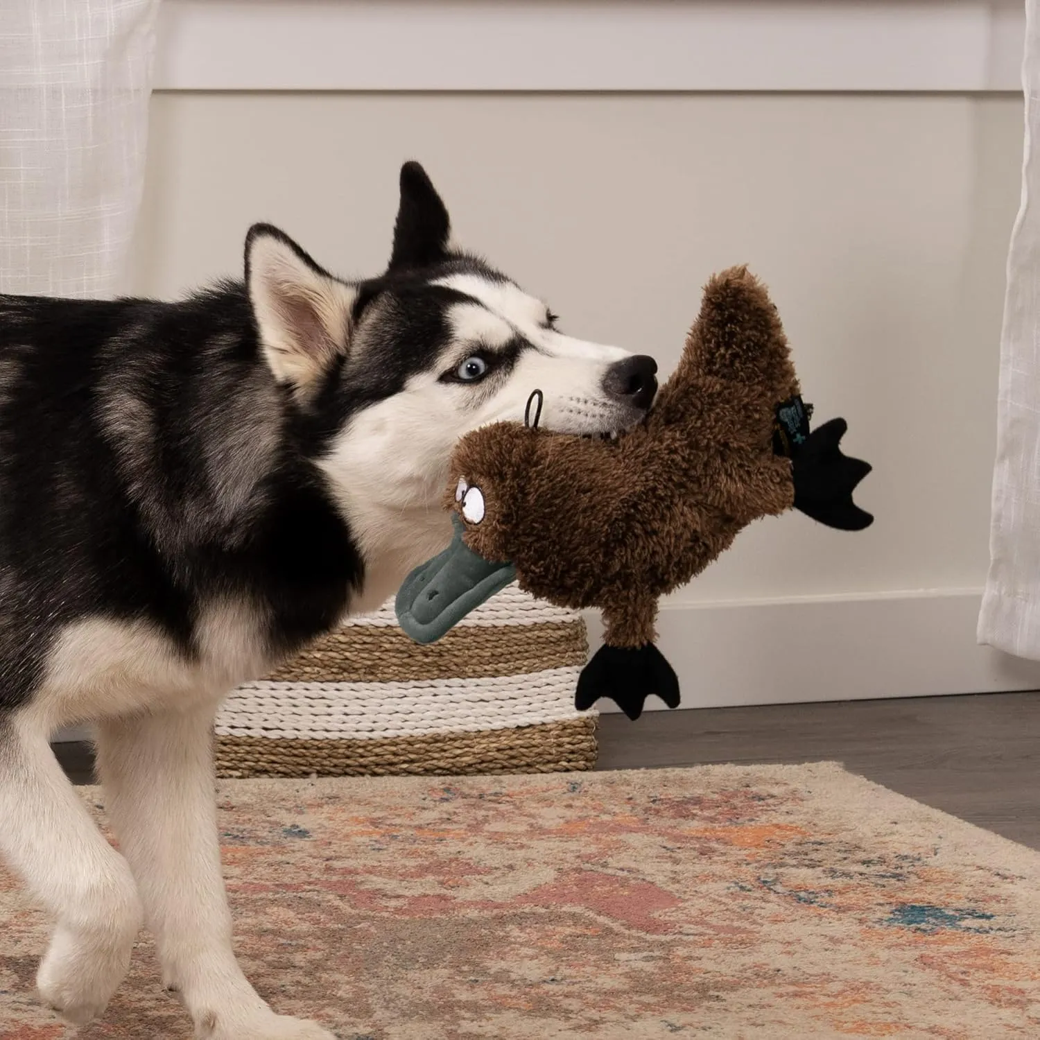 Strong 'N Silent Platypus Silent Squeak Plush Dog Toy, Chew Guard Technology - Brown, Large