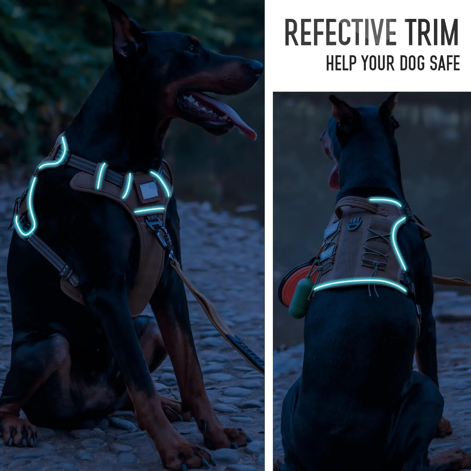 Tactical Dog Harness with Leash for Medium Large Dogs, Dog Car Leash Seat Belt with 5.5Ft No Pull Shock Absorbing, Leash Set with ID Card (Brown, M)