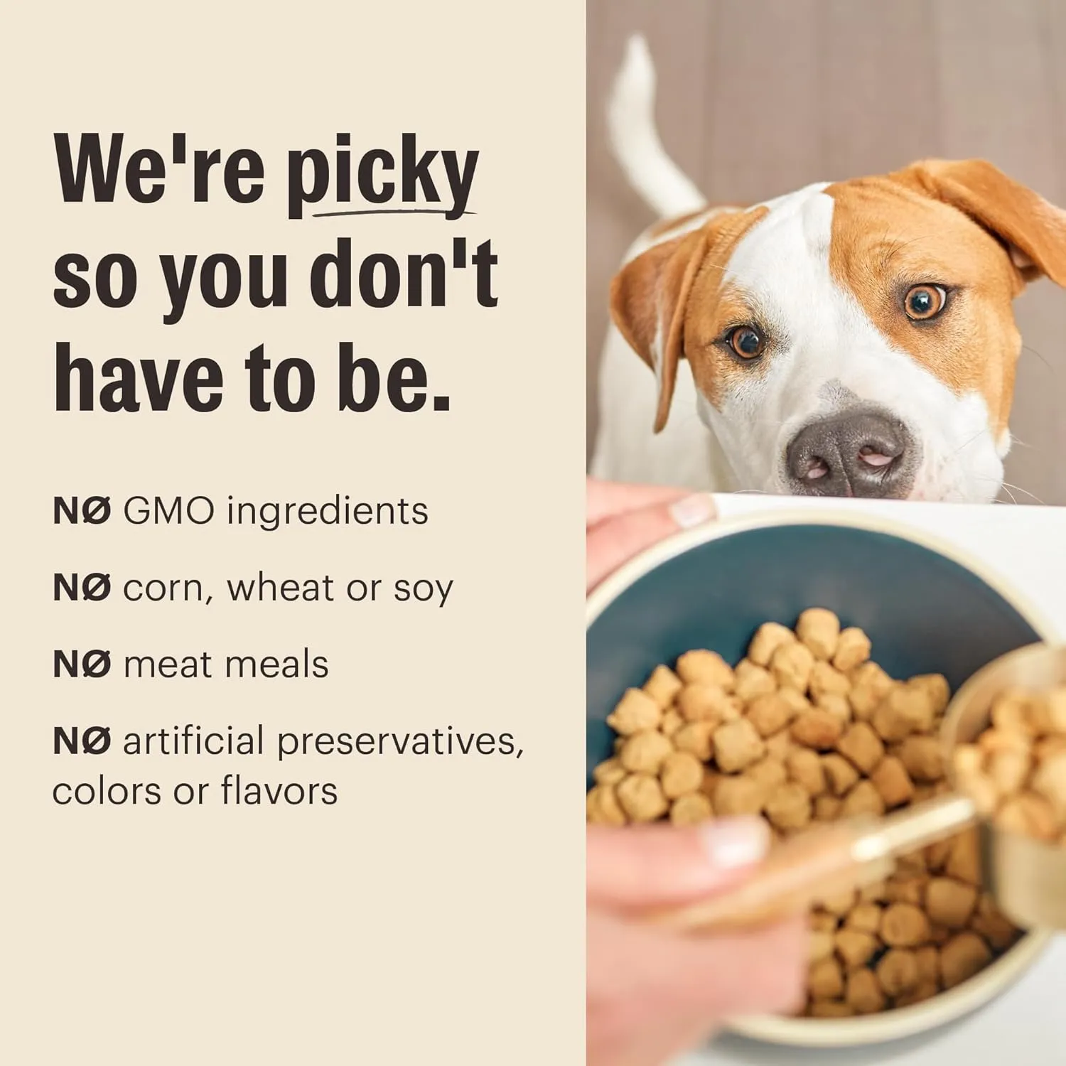 The Honest Kitchen Whole Food Clusters Grain Free Beef Dry Dog Food, 1 lb