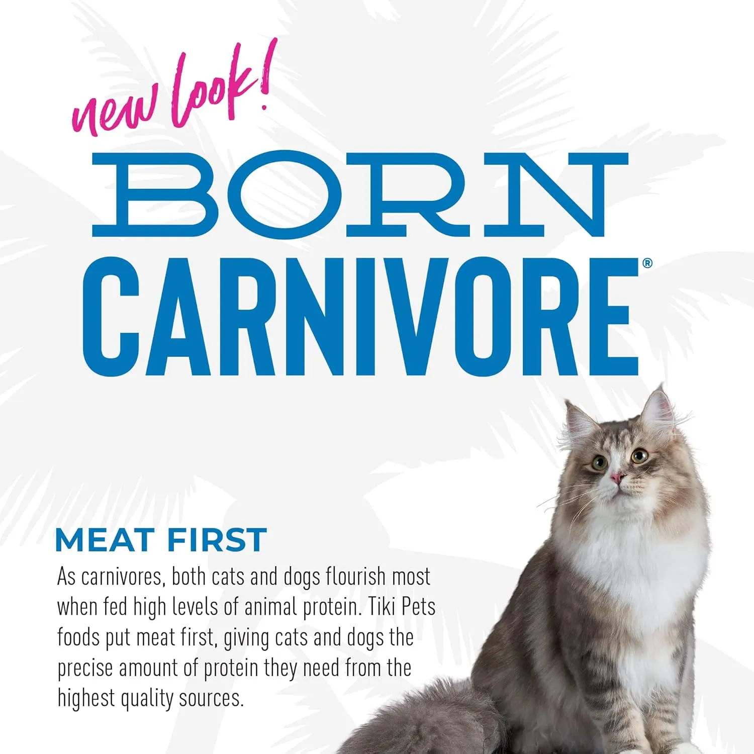 Tiki Cat Born Carnivore High Protein Dry Cat Food, Herring & Salmon Meal, 2.8 lbs. Bag