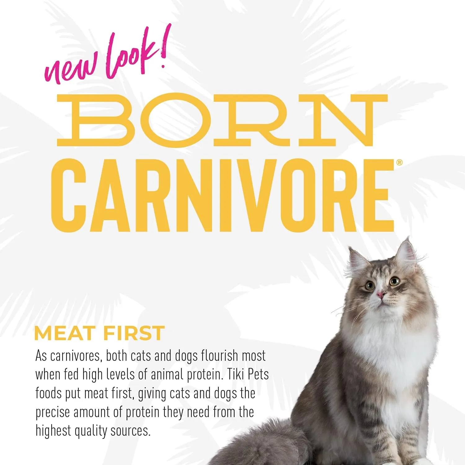 Tiki Cat Born Carnivore High Protein, Indoor Health, Chicken and Turkey Meal Recipe, Grain-Free Baked Kibble to Maximize Nutrients, Dry Cat Food, 3 lb. Bag