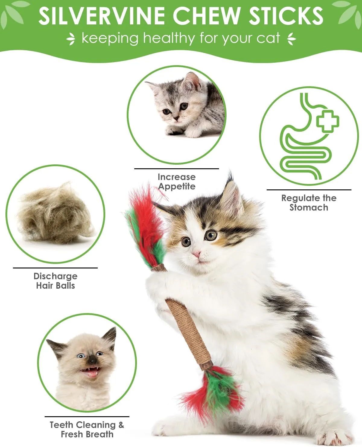 TINDTOP Silvervine Chew Sticks for Cats, 12 Pack Natural Catnip Chew Toys for Kittens Teeth Cleaning, Matatabi Dental Care, Increase Appetite Cat Dental Toy