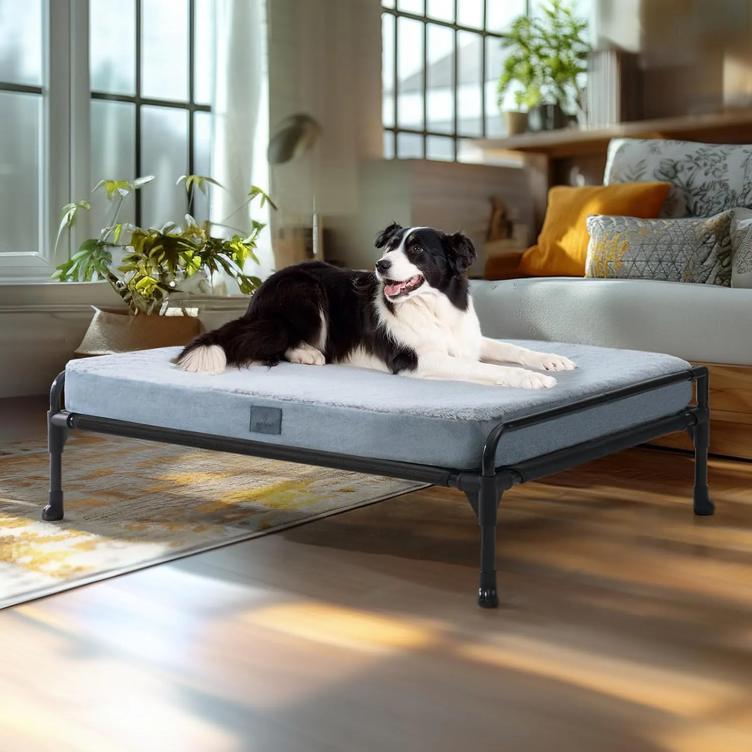 Veehoo Elevated Raised Dog Bed Removable Dog Cot Mat-Cooling Outdoor Large Pet Bed Three-Sided Guardrail Raised Pet Cot Hammock Bed with Bolster-35 x 22" Black