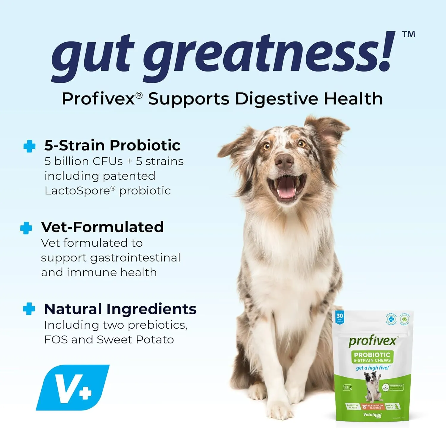 Vetnique Labs Profivex Probiotics for Dogs All Natural Dog Chews & Powder for Digestive Health Probiotic Supplements for Dogs 5 Strains of Probiotics & Prebiotics (Soft Chews, 30ct)