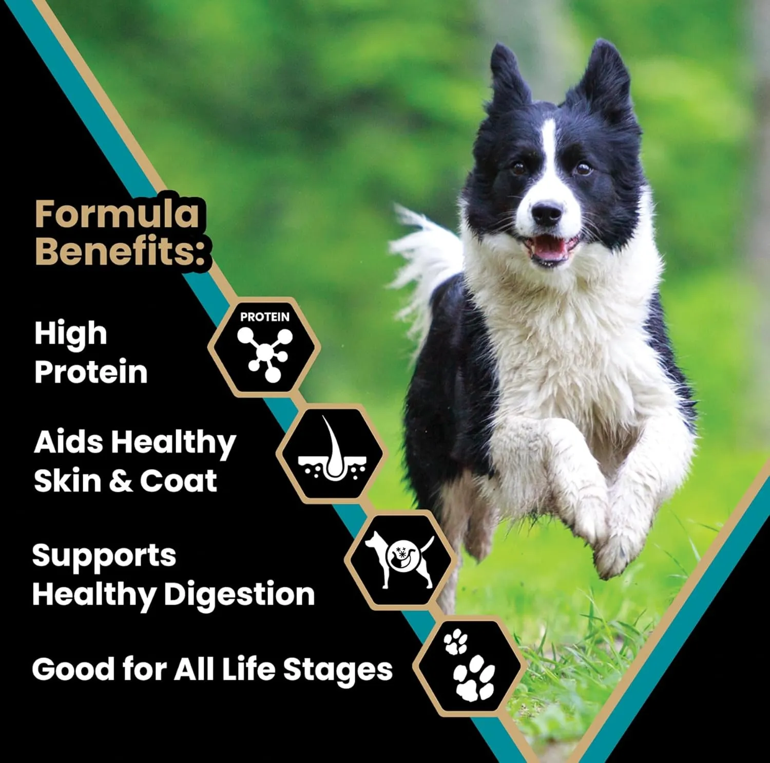 VICTOR Super Premium Dog Food  Hi-Pro Plus Dry Kibble  High Protein Dog Food with 30% Protein  Beef, Chicken, Pork, Fish Meals, Gluten Free - for High Energy and Active Dogs & Puppies, 30lbs