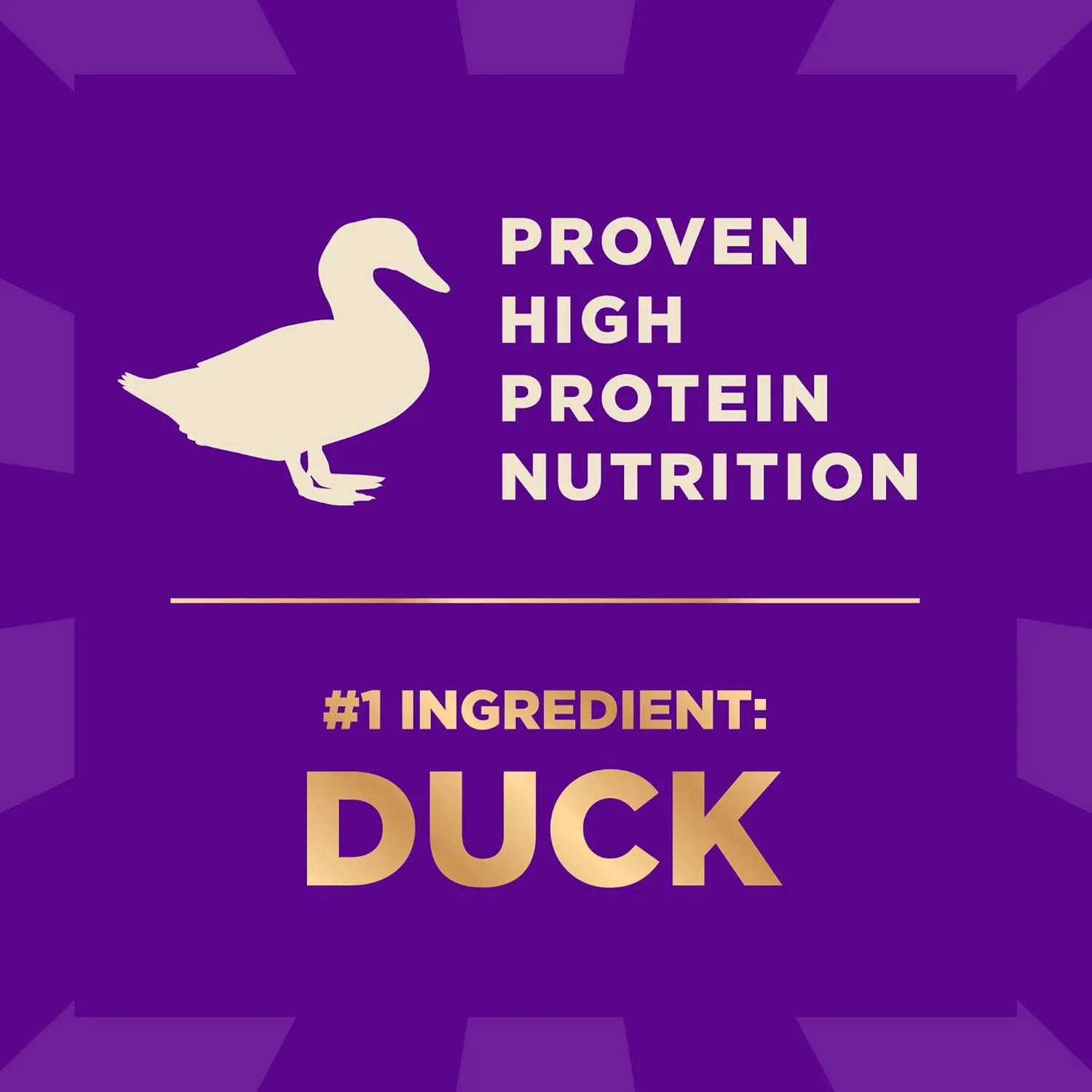 Wellness CORE  (Formerly RawRev) Dry Dog Food with Freeze Dried Pieces, Grain Free, High Protein, Natural, Wild Game Duck, Lamb, Wild Boar, & Rabbit Recipe, (4-Pound Bag)